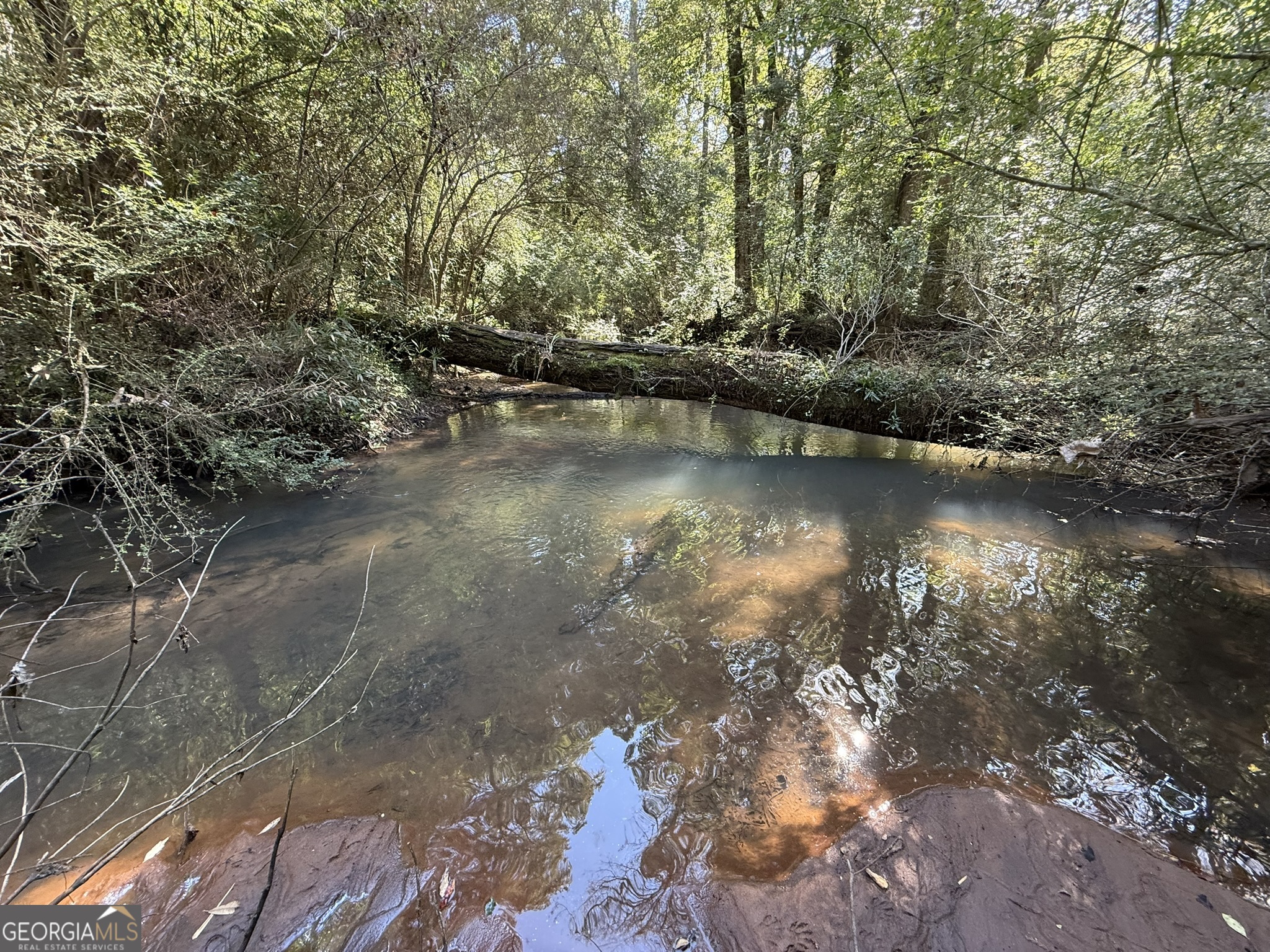 013 George Milling Road Cuthbert GA 39840