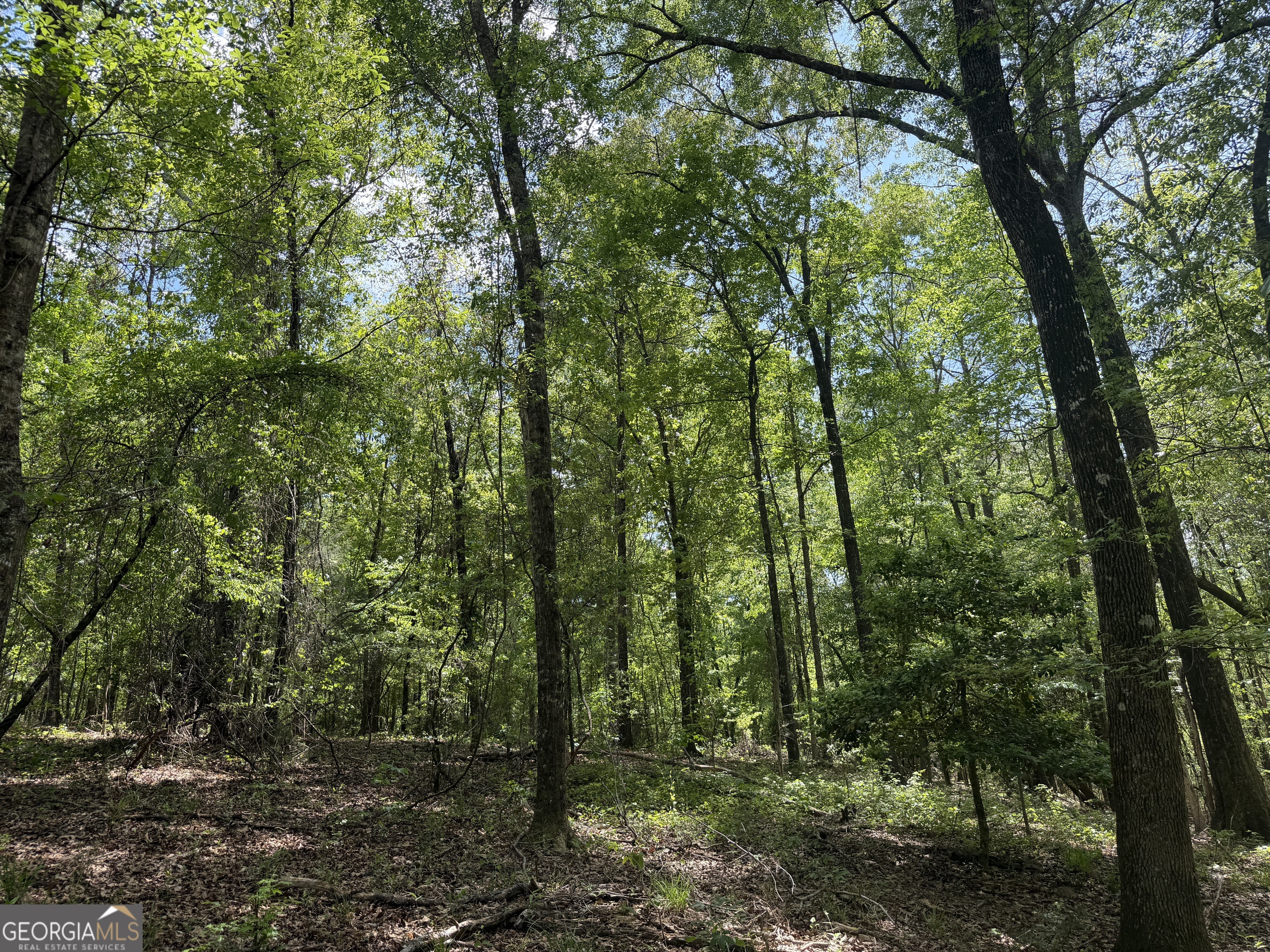 013 George Milling Road Cuthbert GA 39840