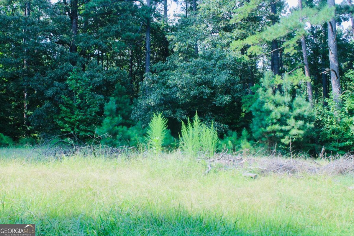4460 Stonewall Tell Road Atlanta GA 30349