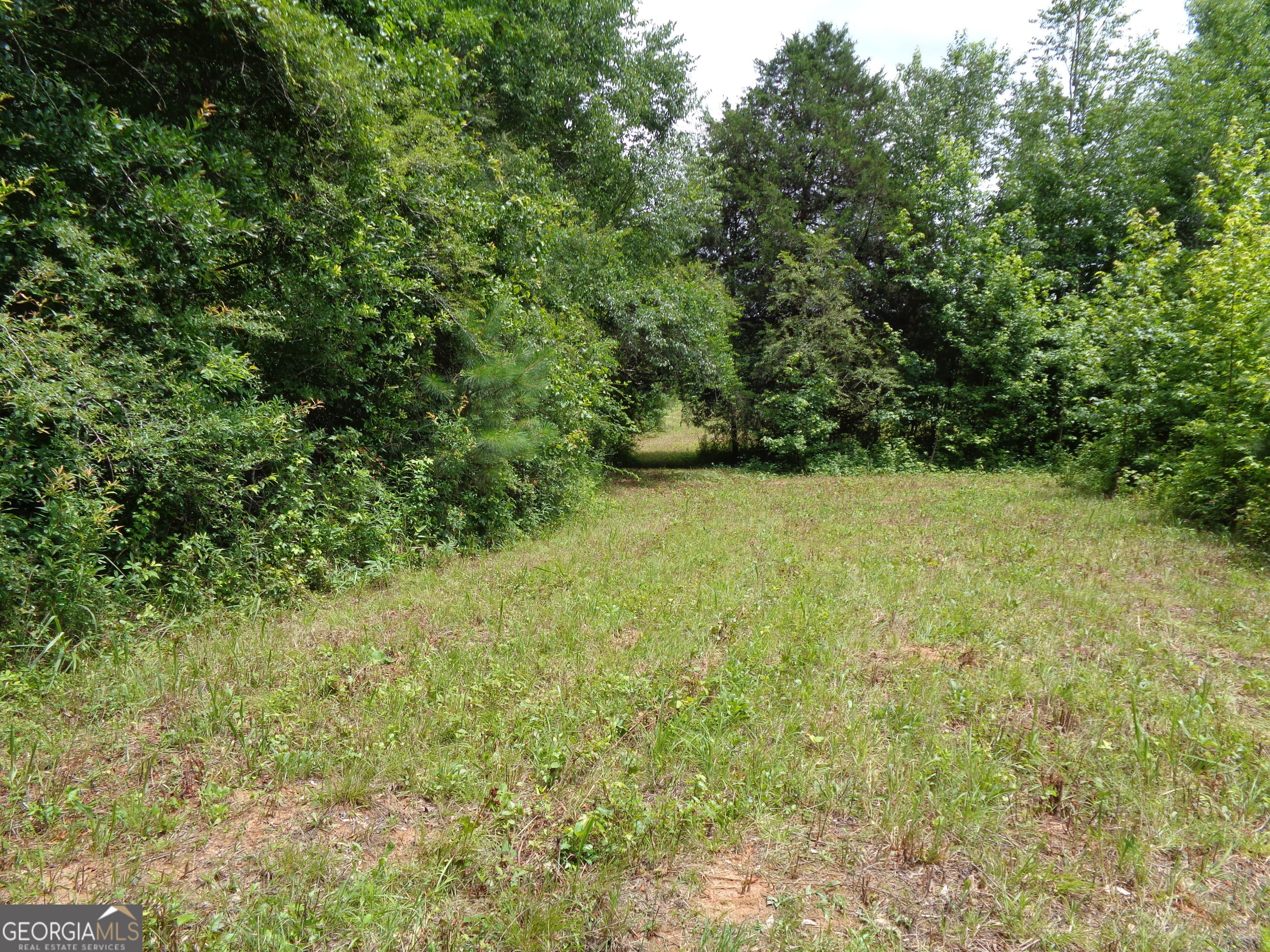 2411 Kesler Road Carnesville GA 30521
