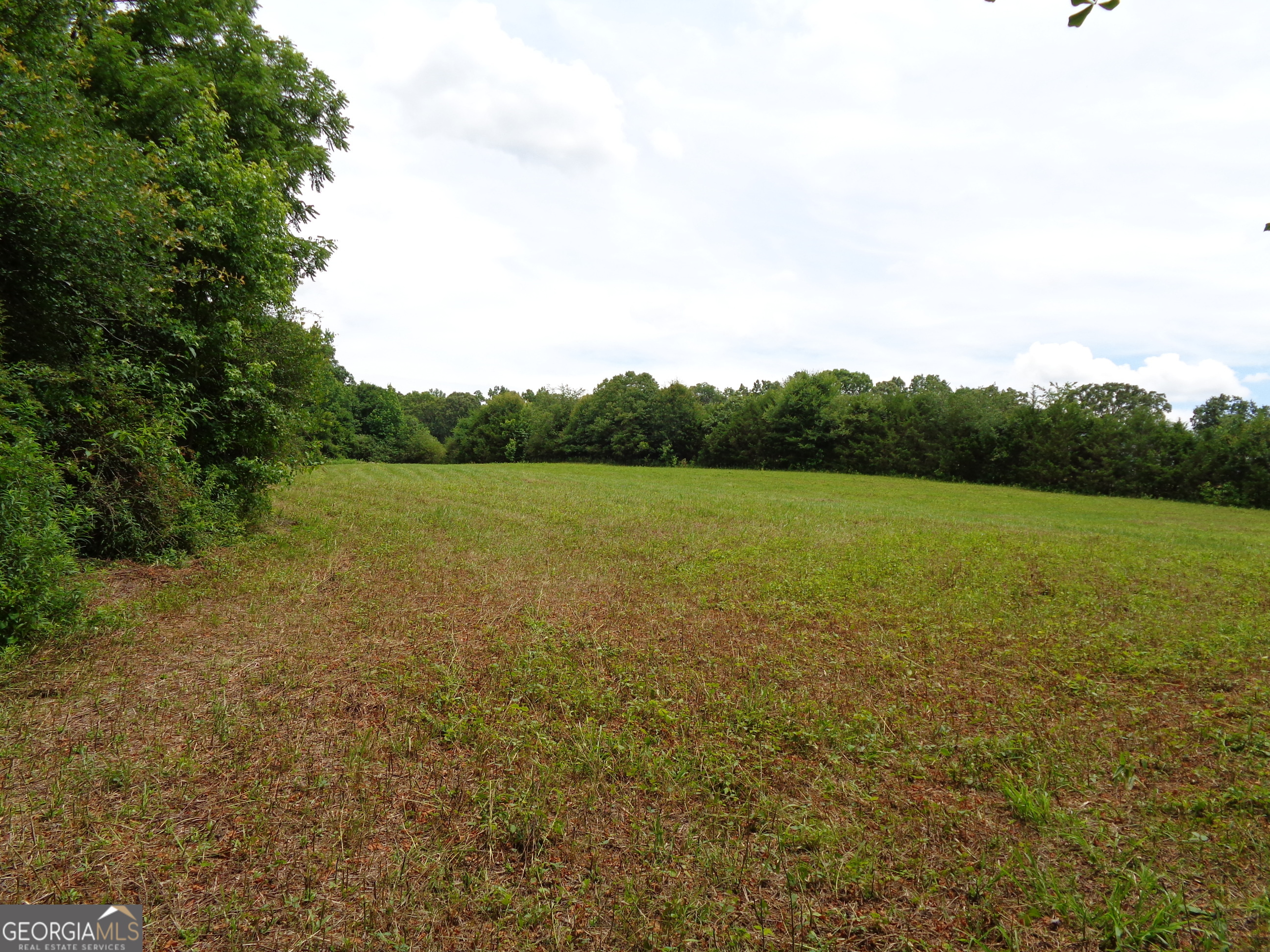 2411 Kesler Road Carnesville GA 30521