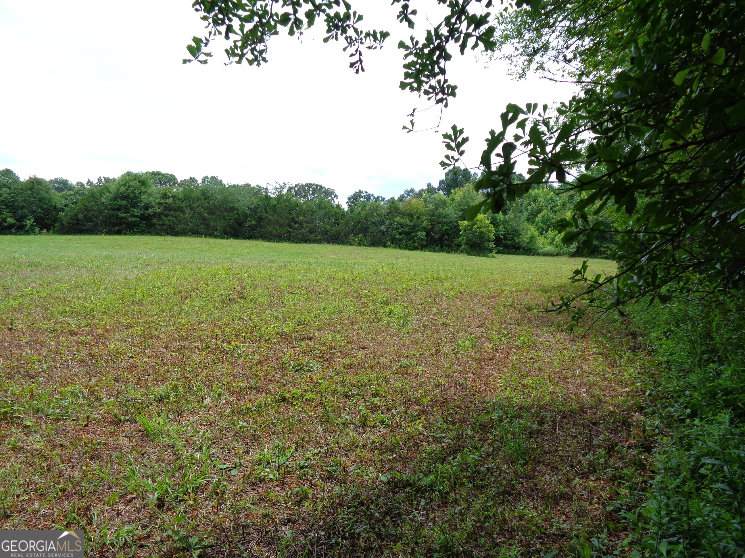 2411 Kesler Road Carnesville GA 30521