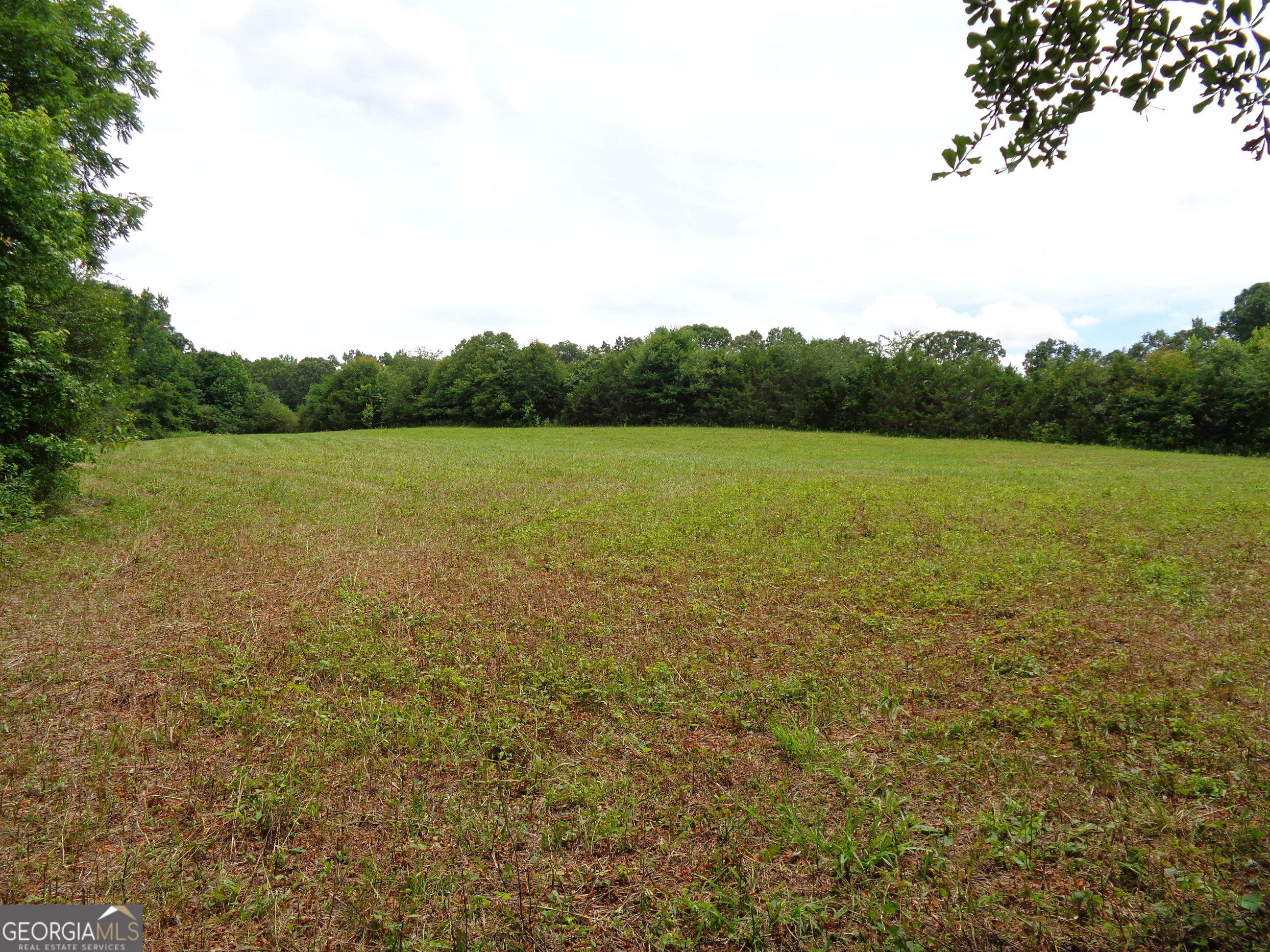 2411 Kesler Road Carnesville GA 30521
