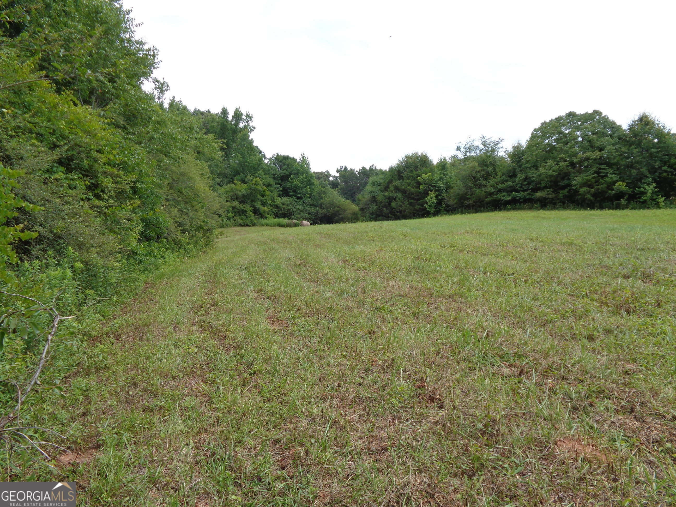 2411 Kesler Road Carnesville GA 30521