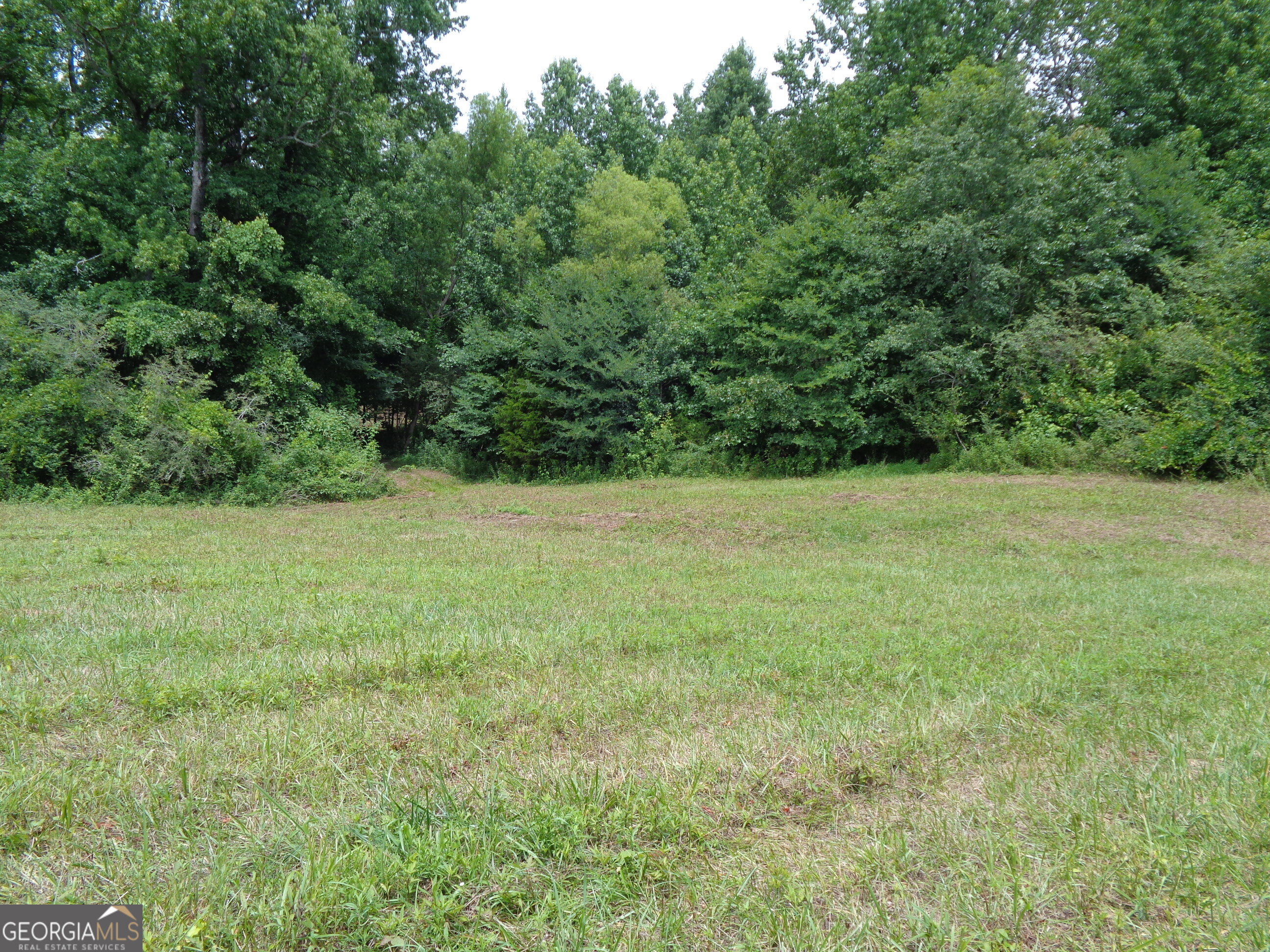 2411 Kesler Road Carnesville GA 30521