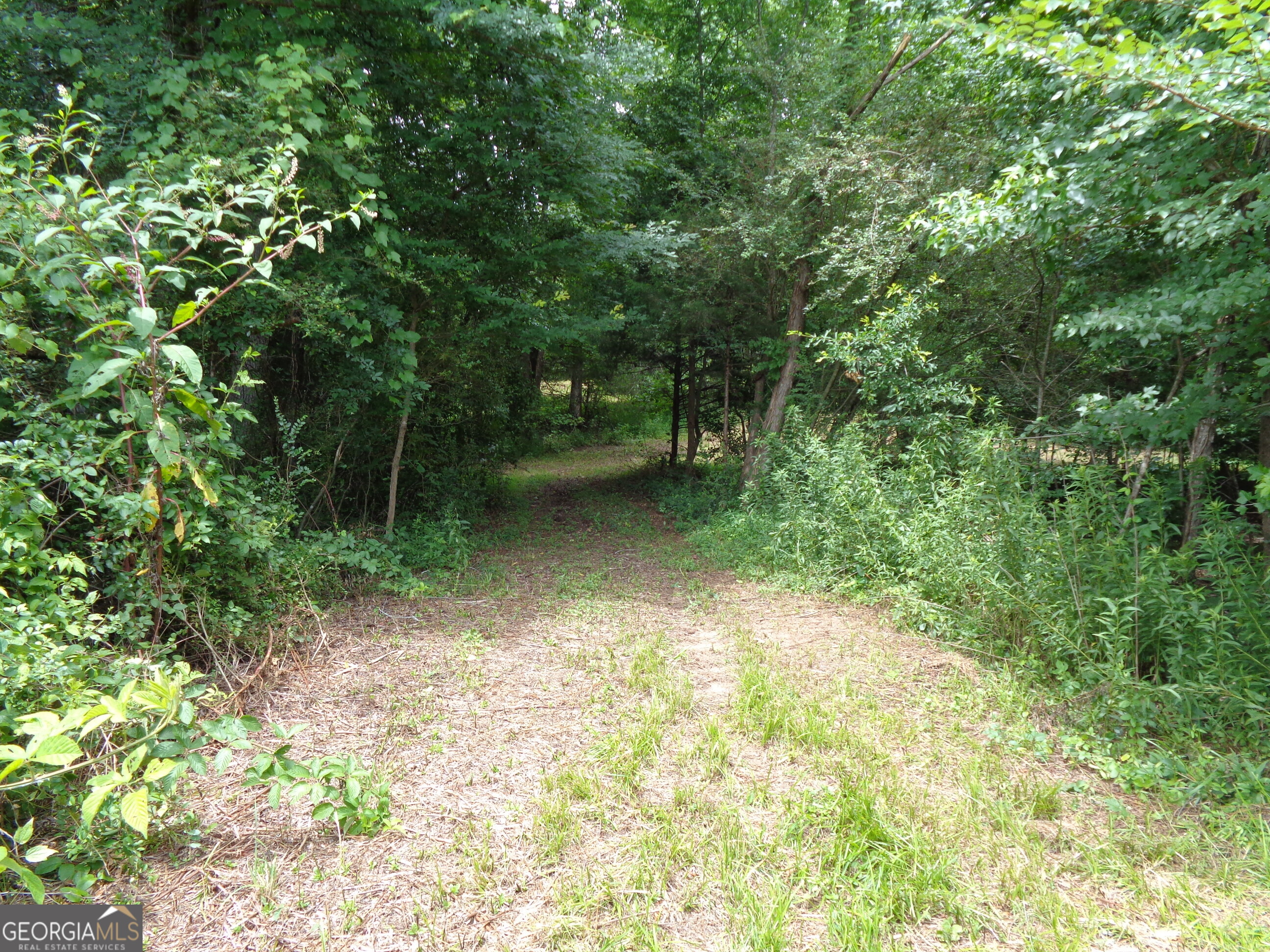 2411 Kesler Road Carnesville GA 30521