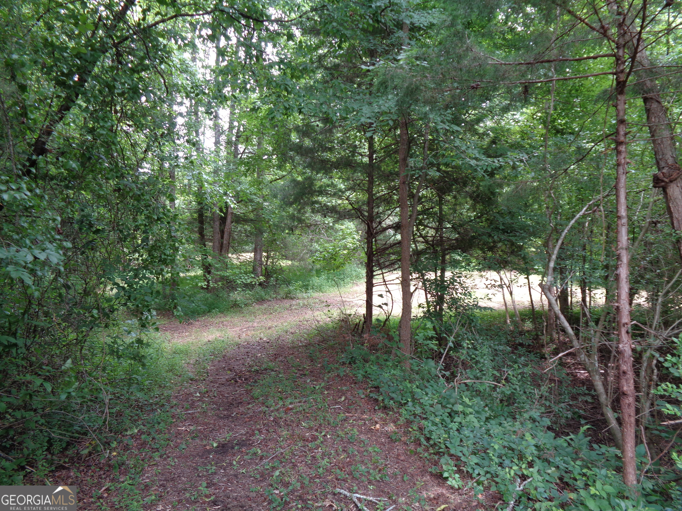 2411 Kesler Road Carnesville GA 30521