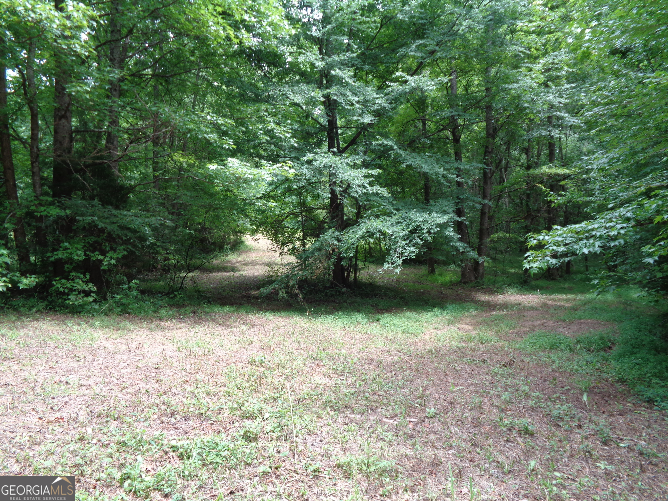 2411 Kesler Road Carnesville GA 30521