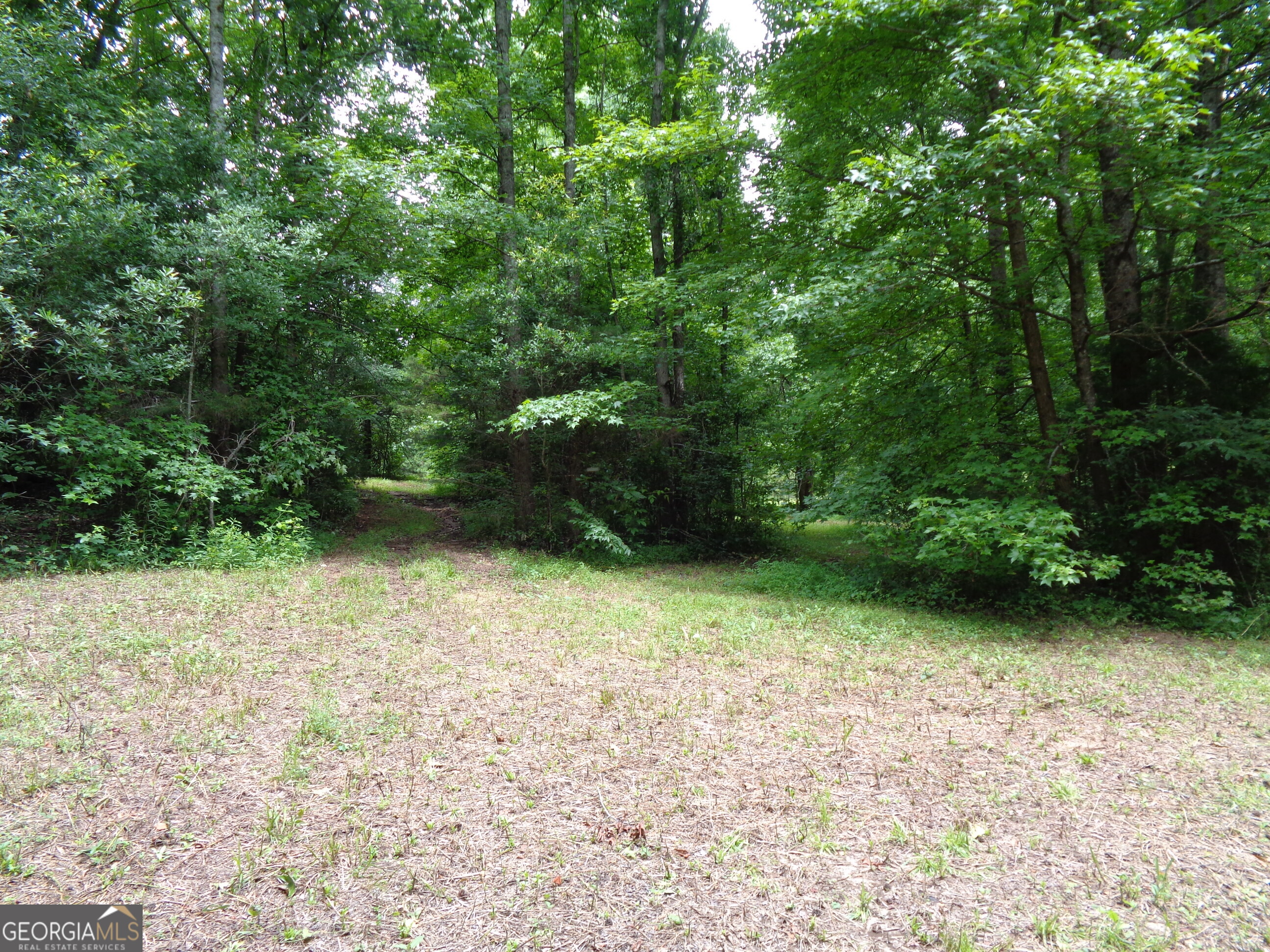 2411 Kesler Road Carnesville GA 30521