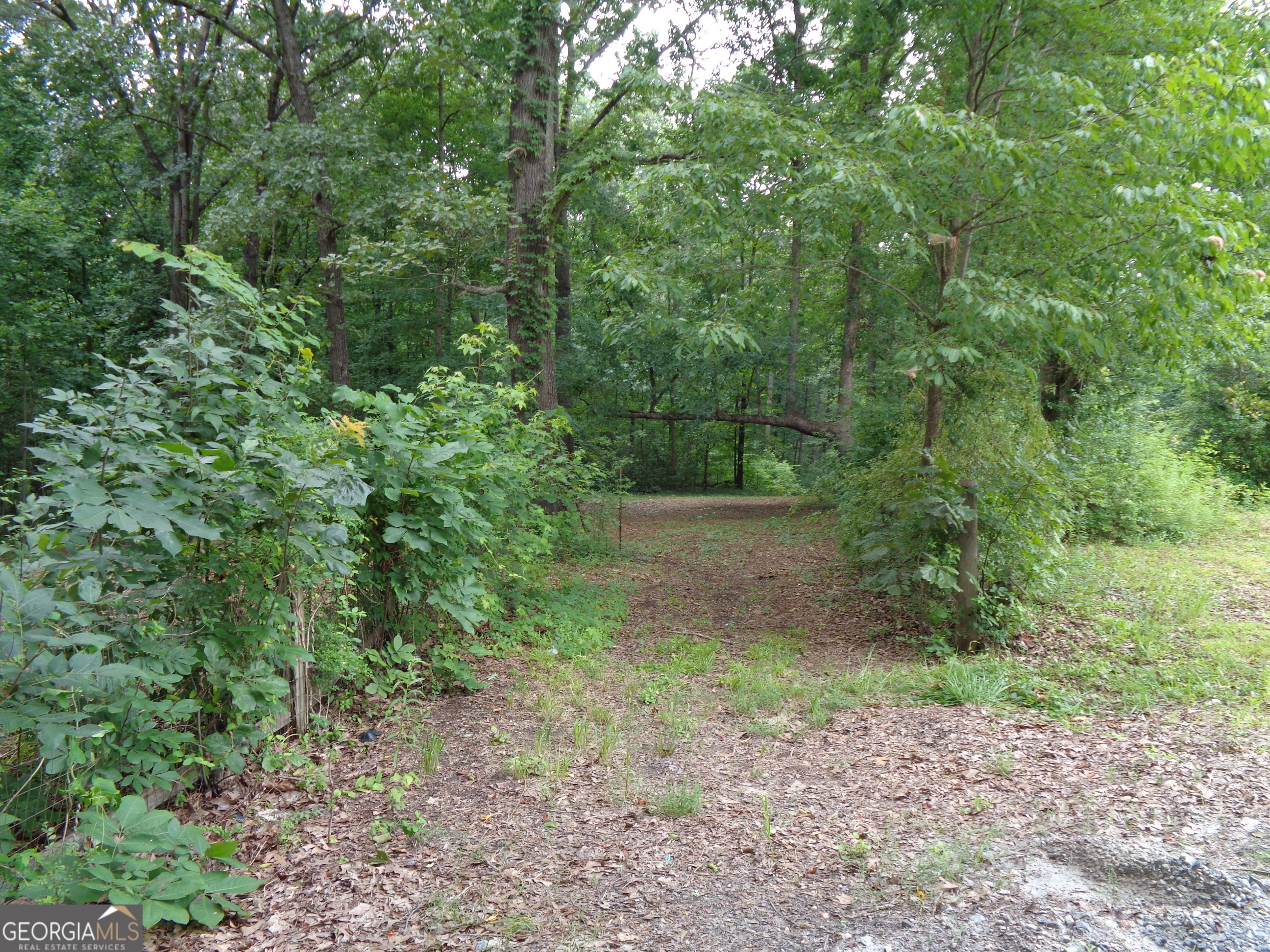 2411 Kesler Road Carnesville GA 30521