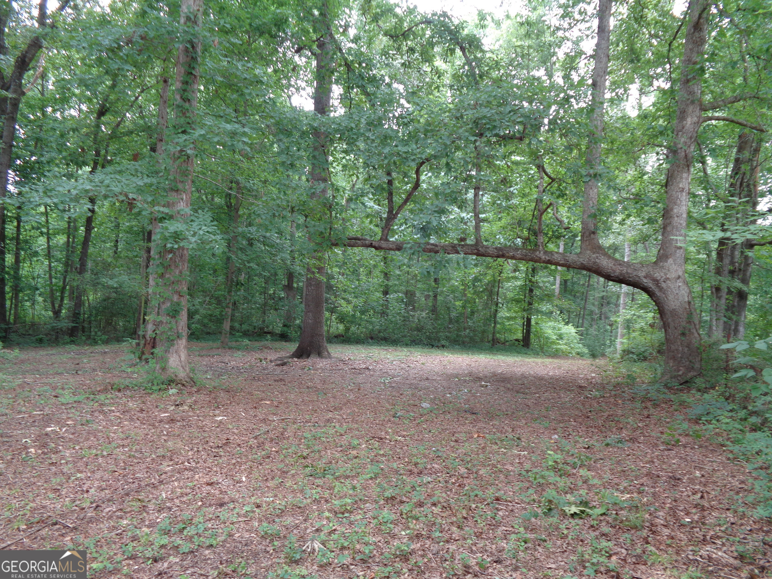 2411 Kesler Road Carnesville GA 30521