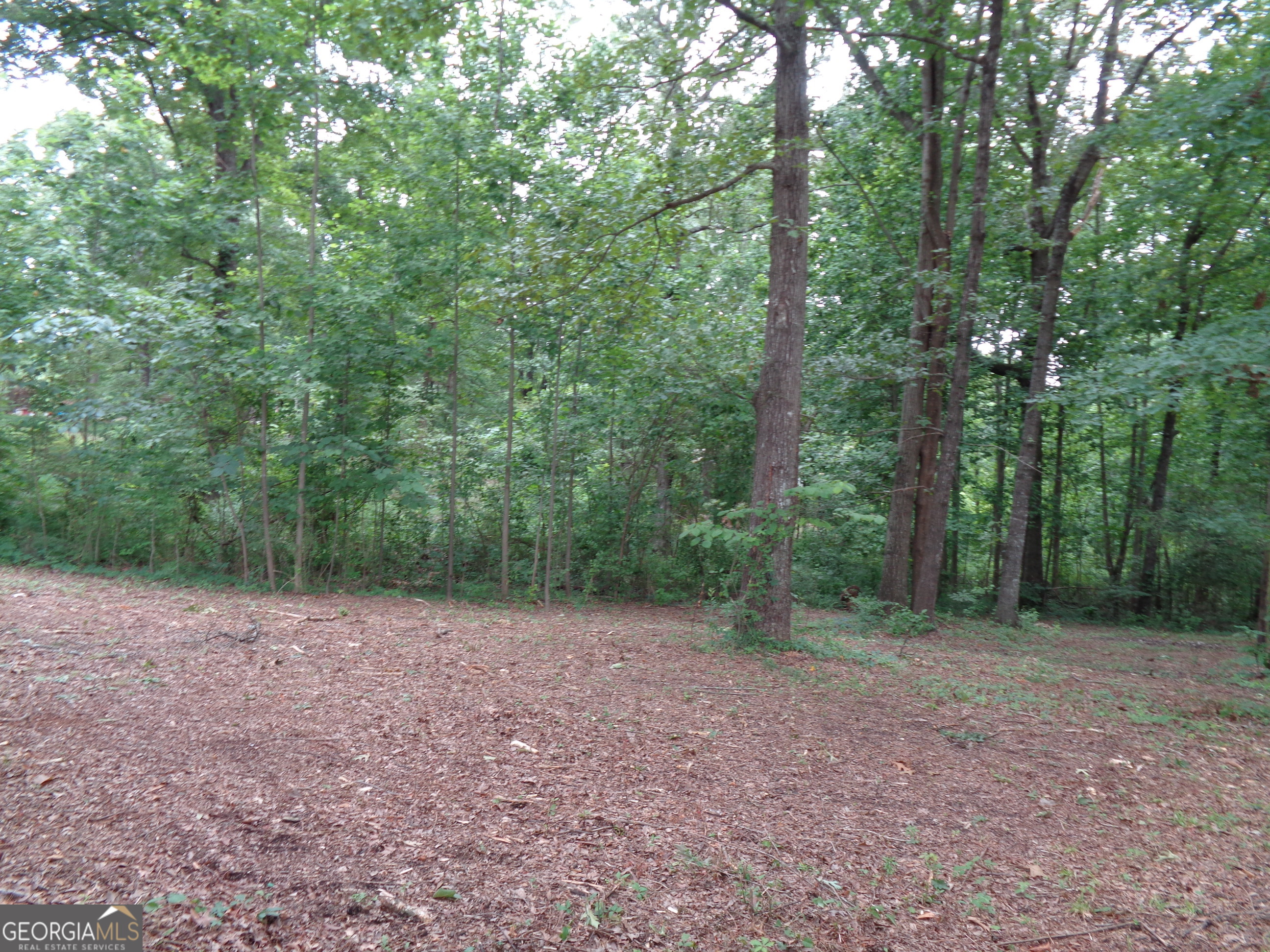 2411 Kesler Road Carnesville GA 30521