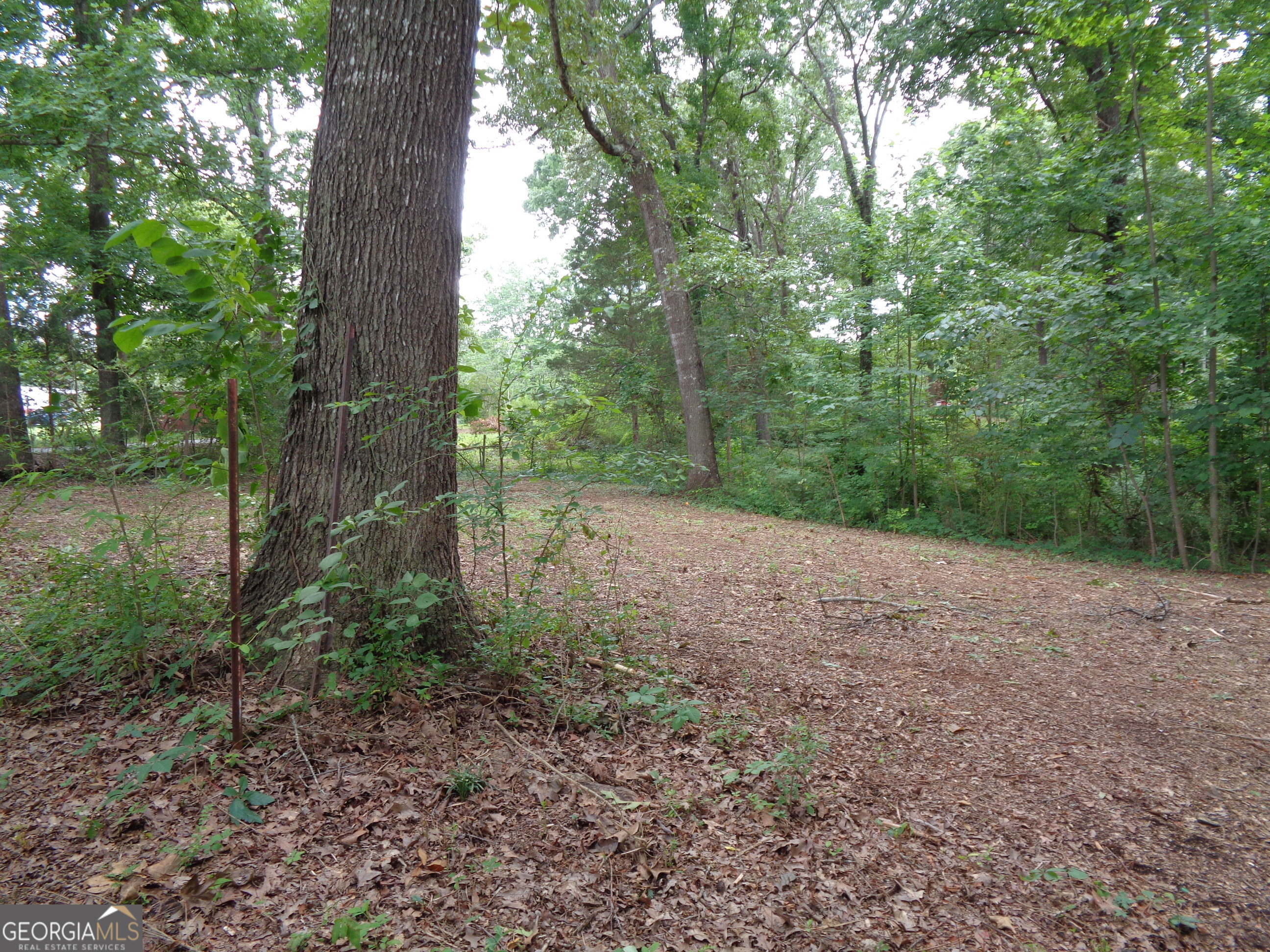 2411 Kesler Road Carnesville GA 30521