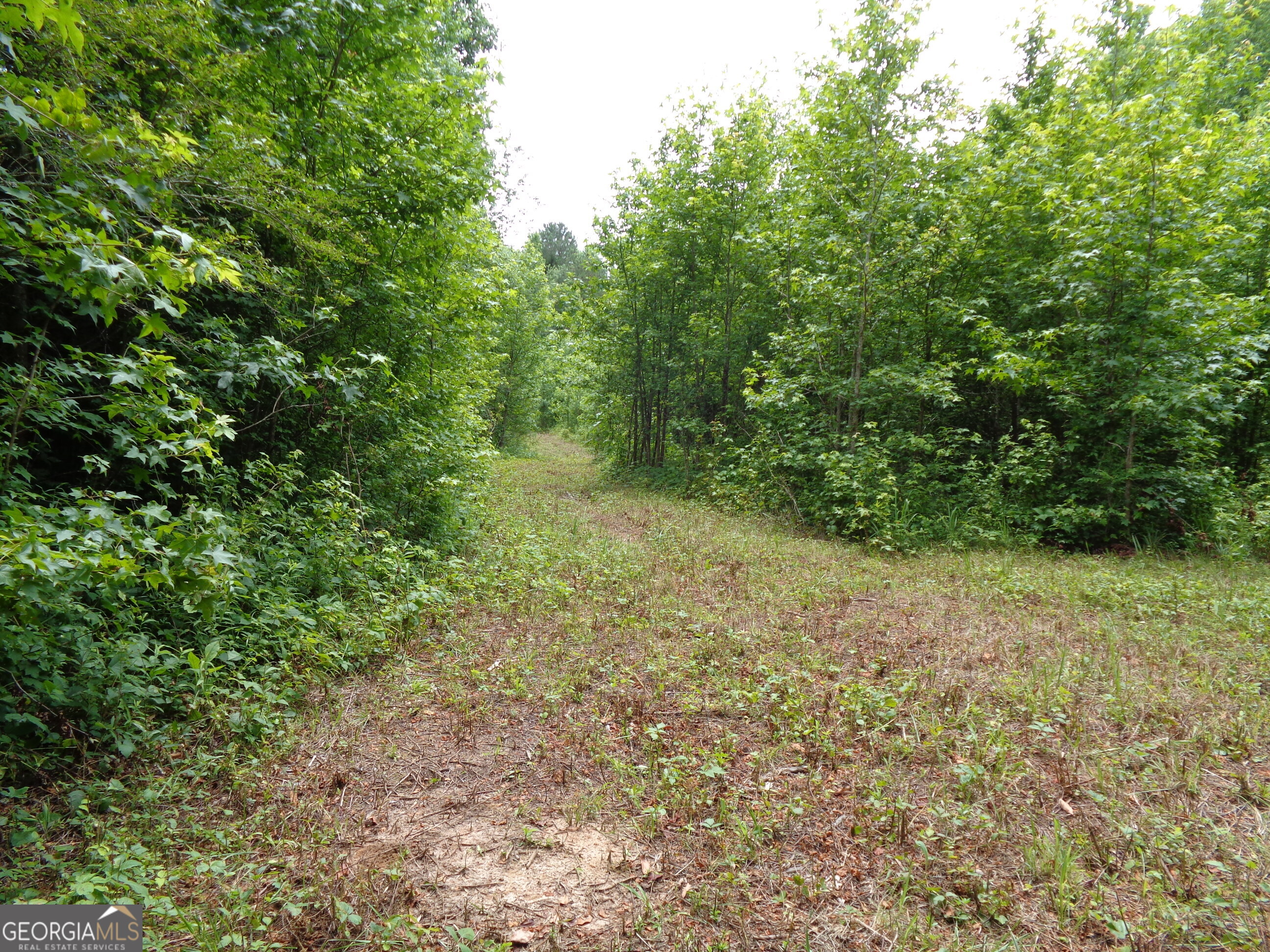 2411 Kesler Road Carnesville GA 30521