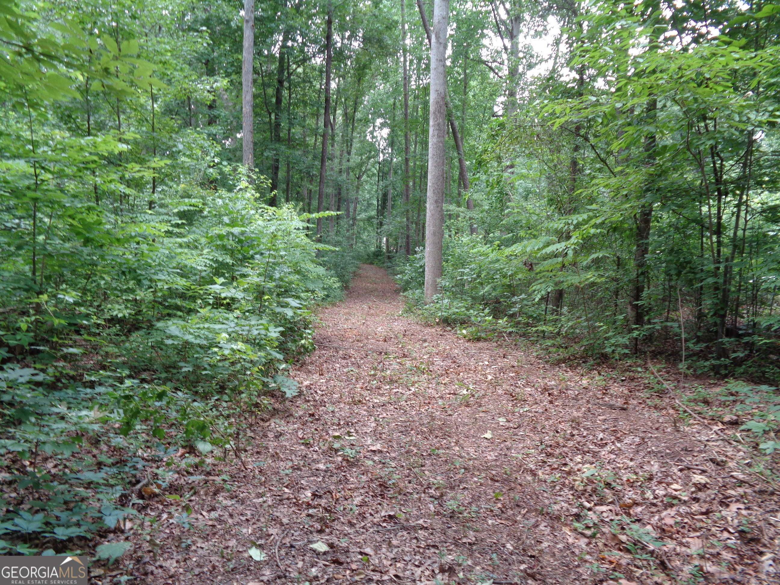 2411 Kesler Road Carnesville GA 30521