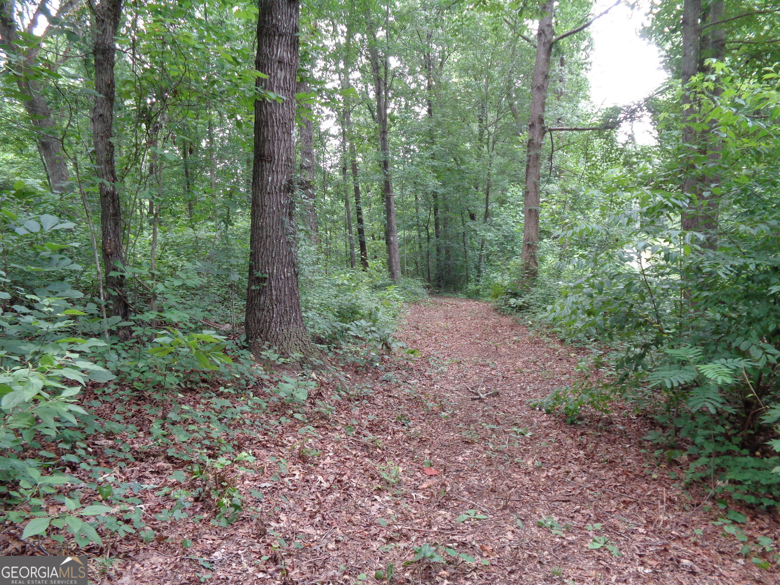 2411 Kesler Road Carnesville GA 30521