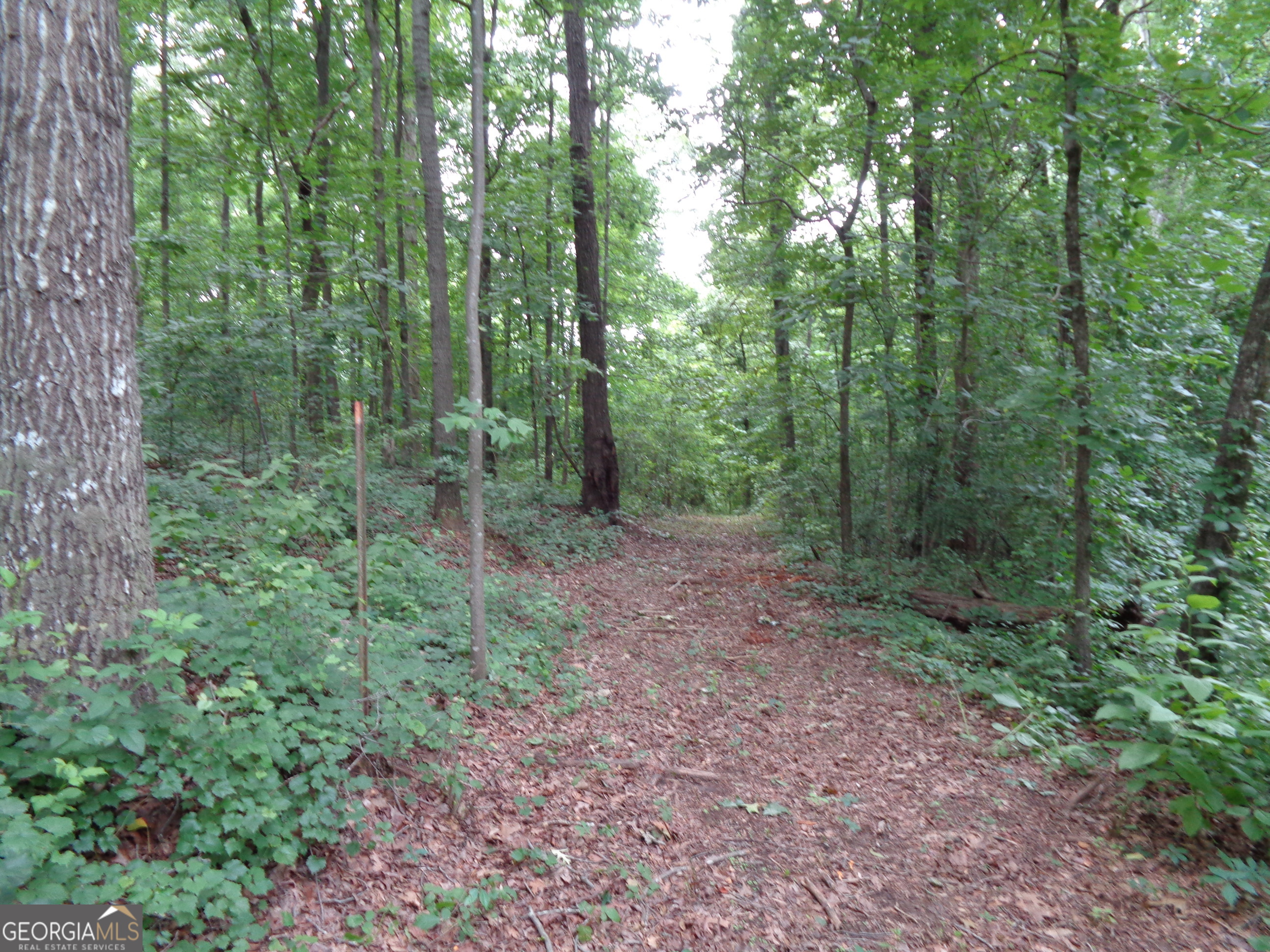 2411 Kesler Road Carnesville GA 30521