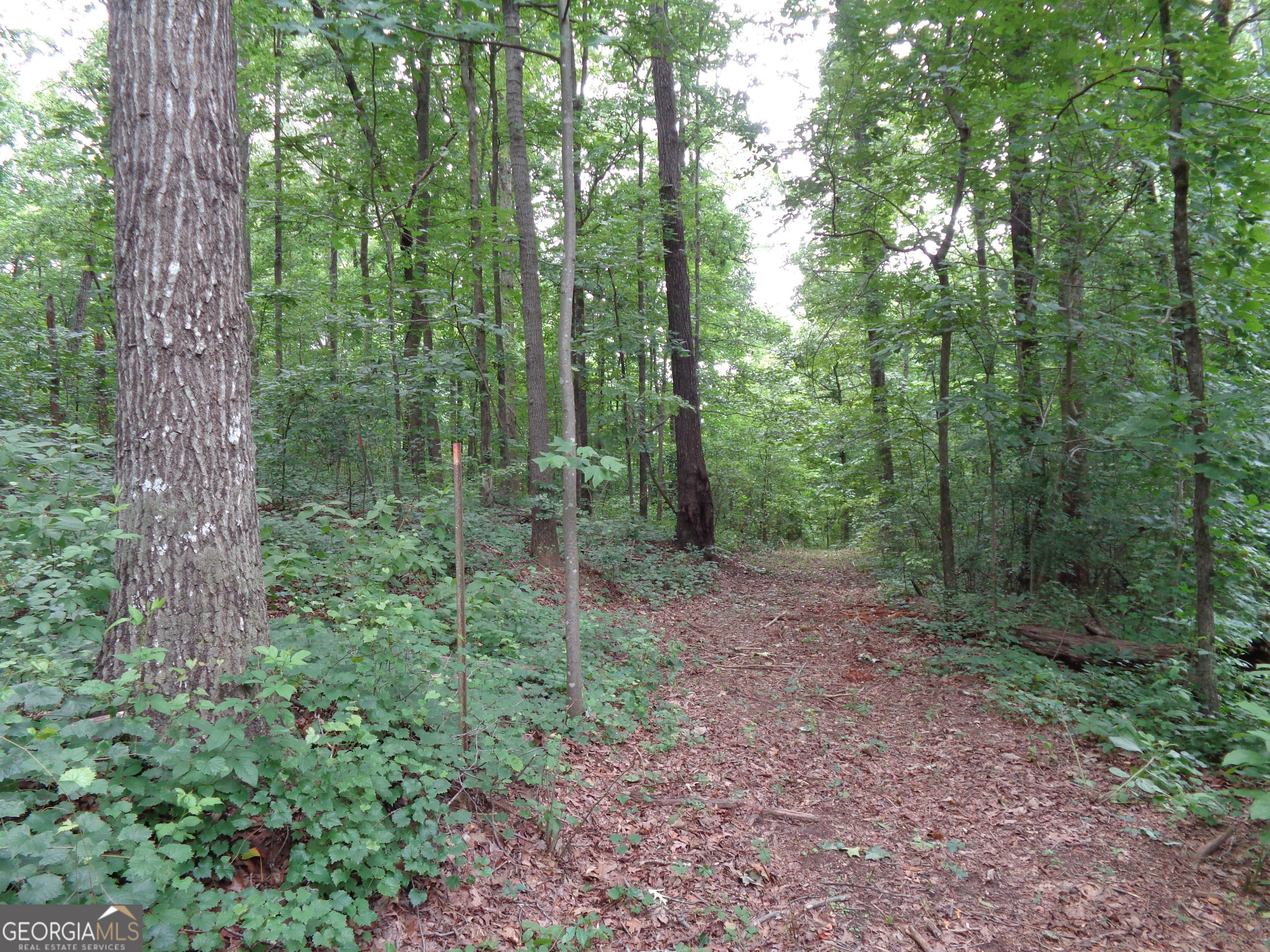 2411 Kesler Road Carnesville GA 30521