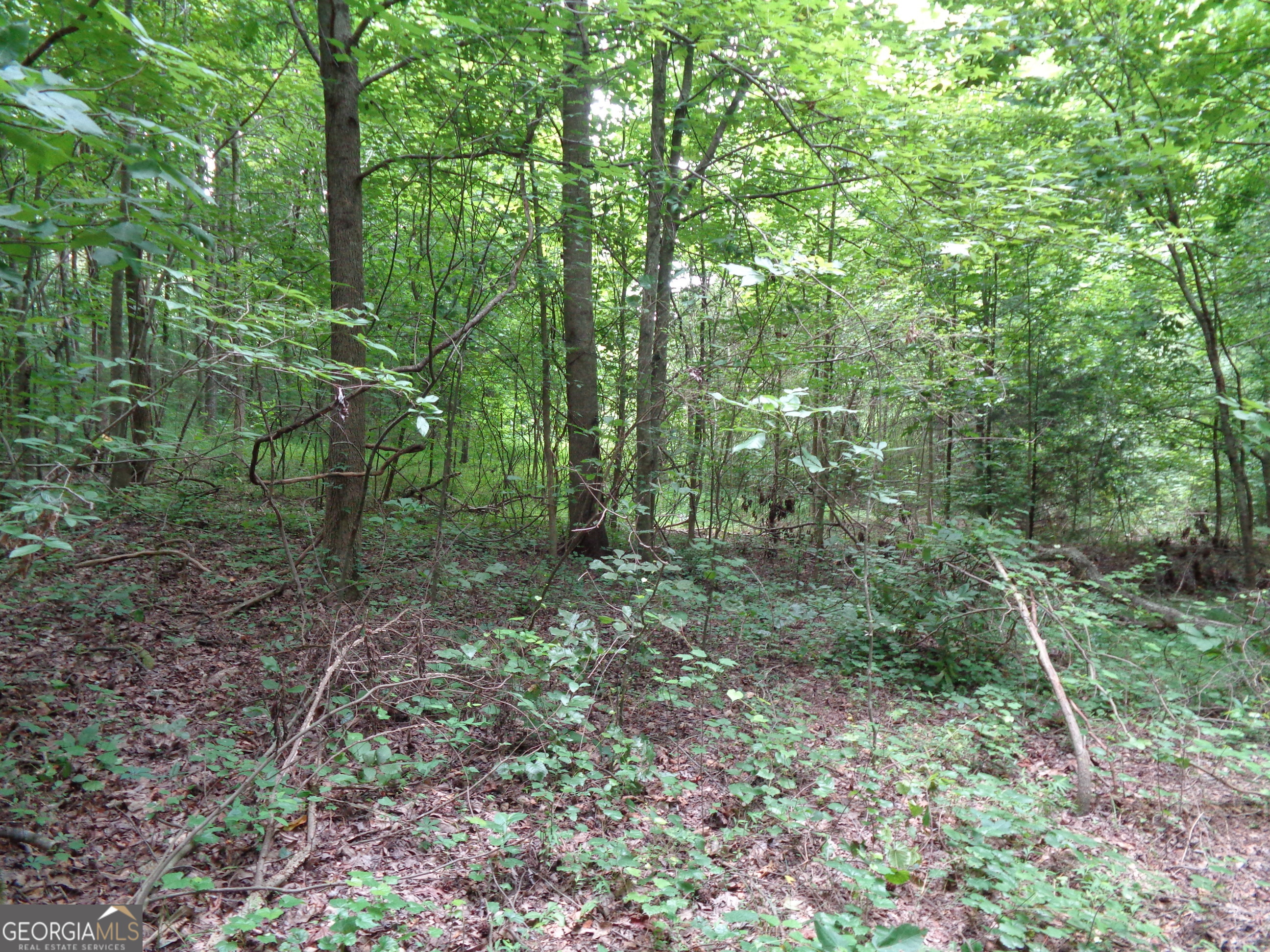 2411 Kesler Road Carnesville GA 30521