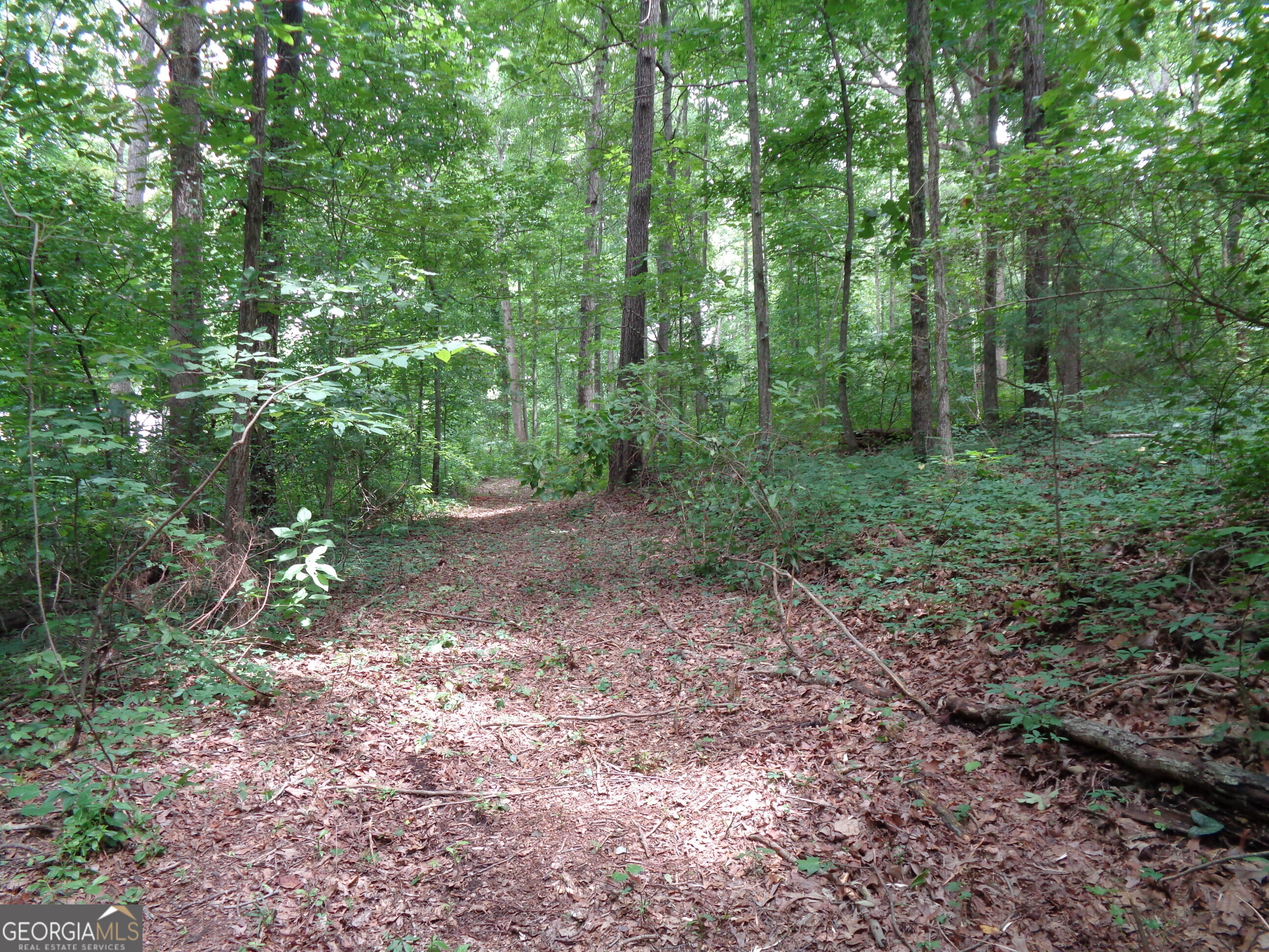 2411 Kesler Road Carnesville GA 30521