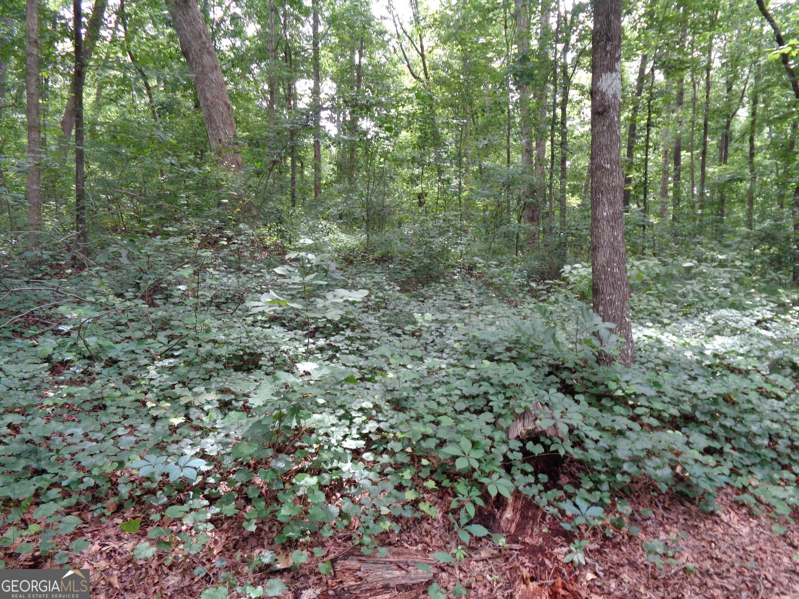 2411 Kesler Road Carnesville GA 30521