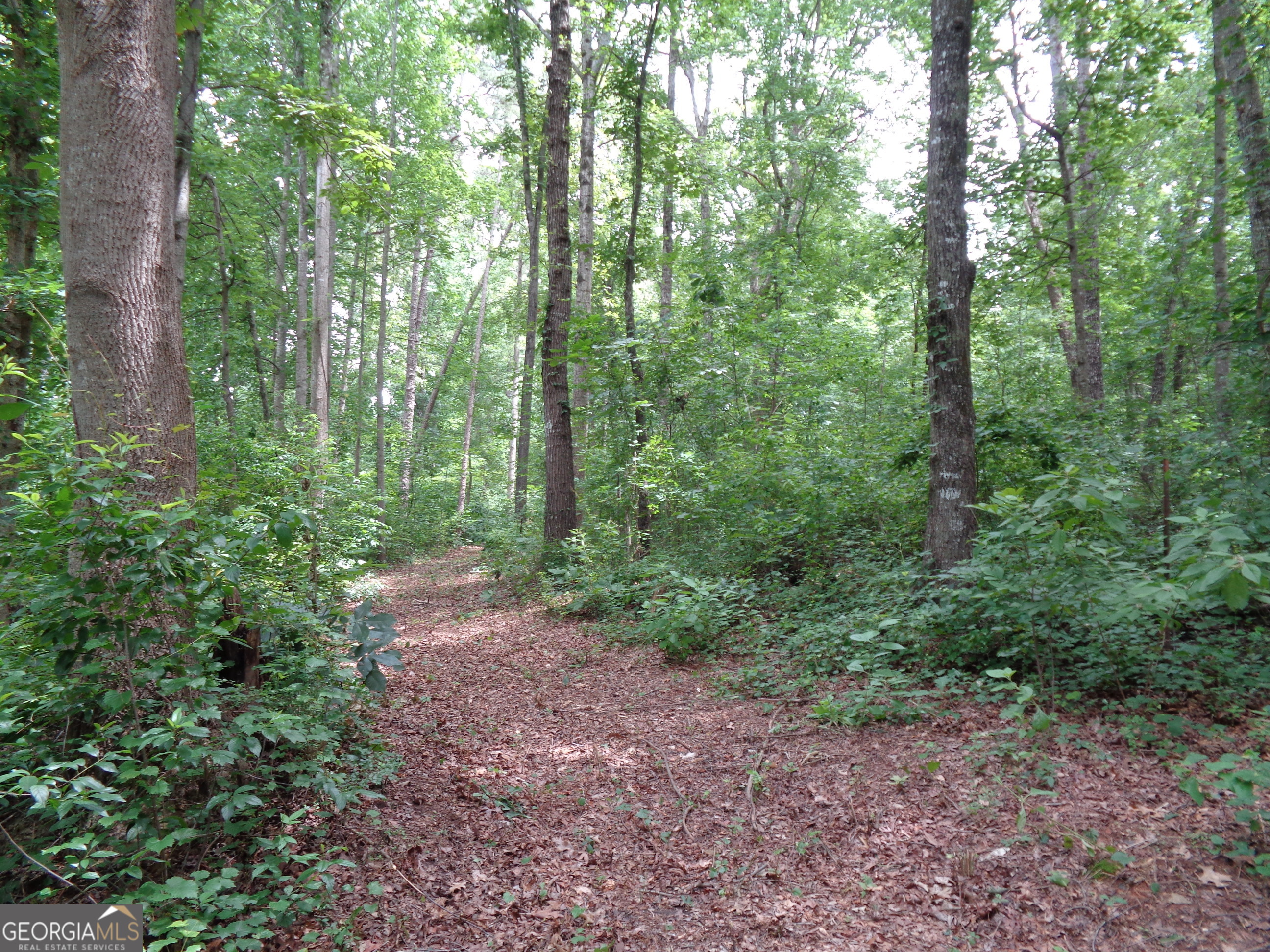 2411 Kesler Road Carnesville GA 30521