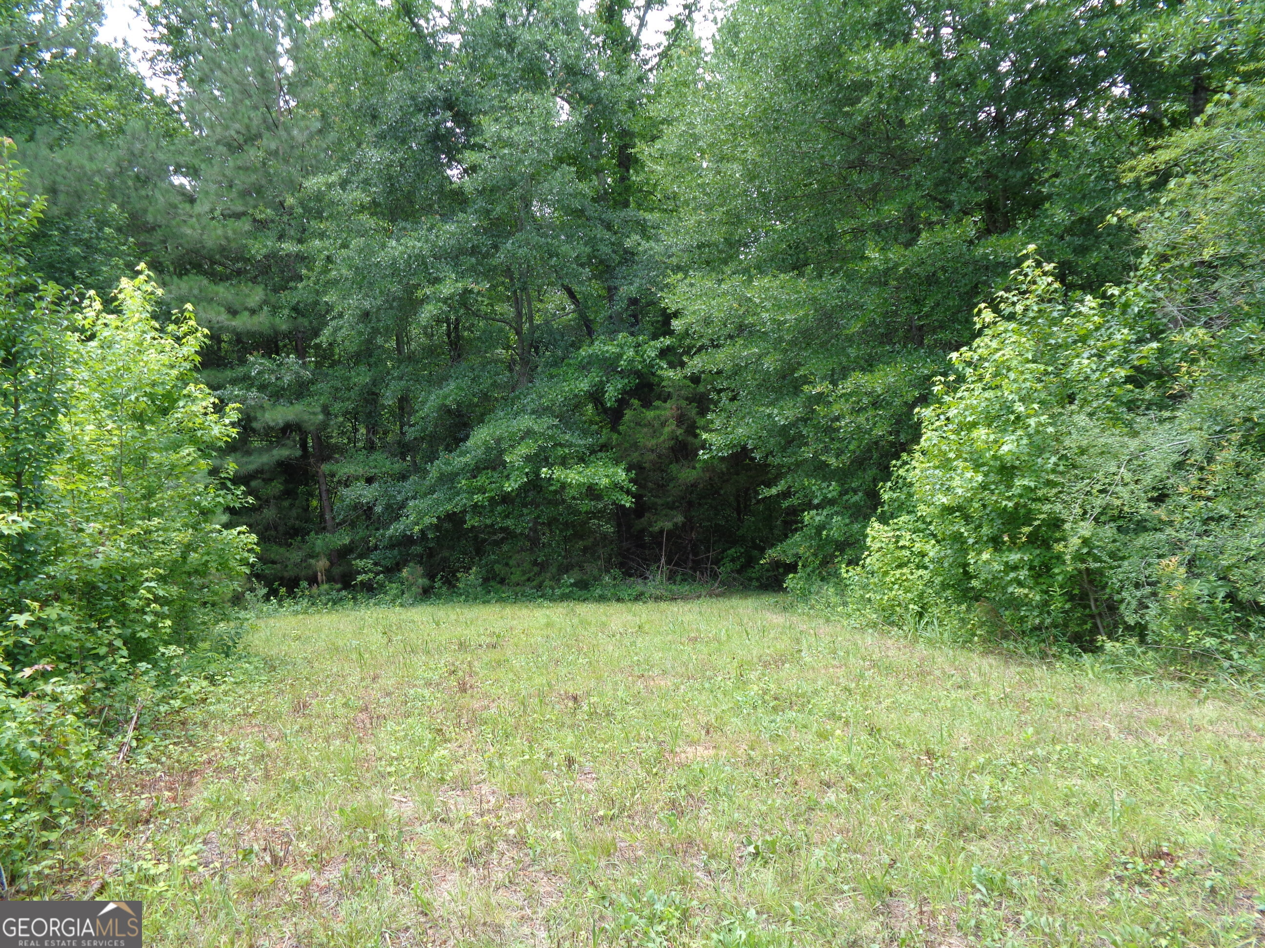 2411 Kesler Road Carnesville GA 30521