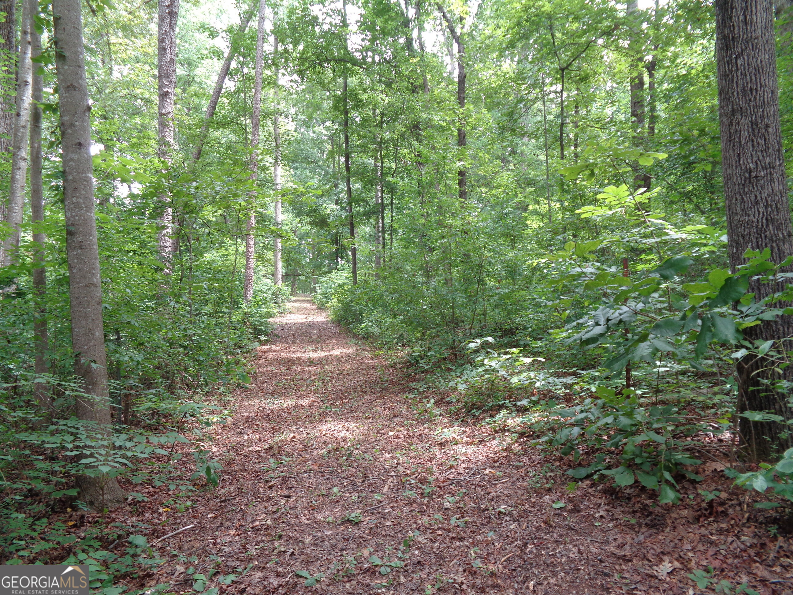 2411 Kesler Road Carnesville GA 30521