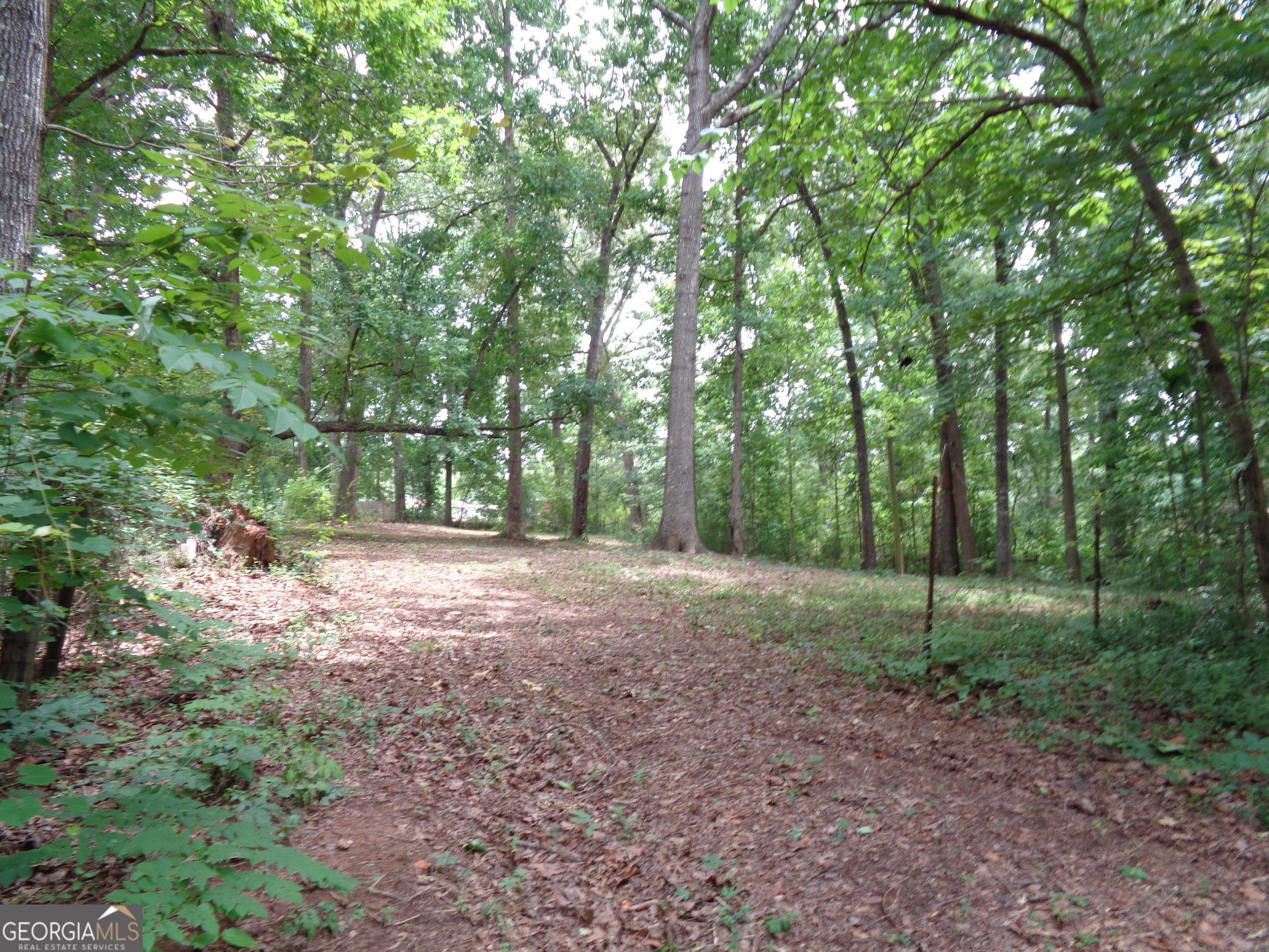 2411 Kesler Road Carnesville GA 30521