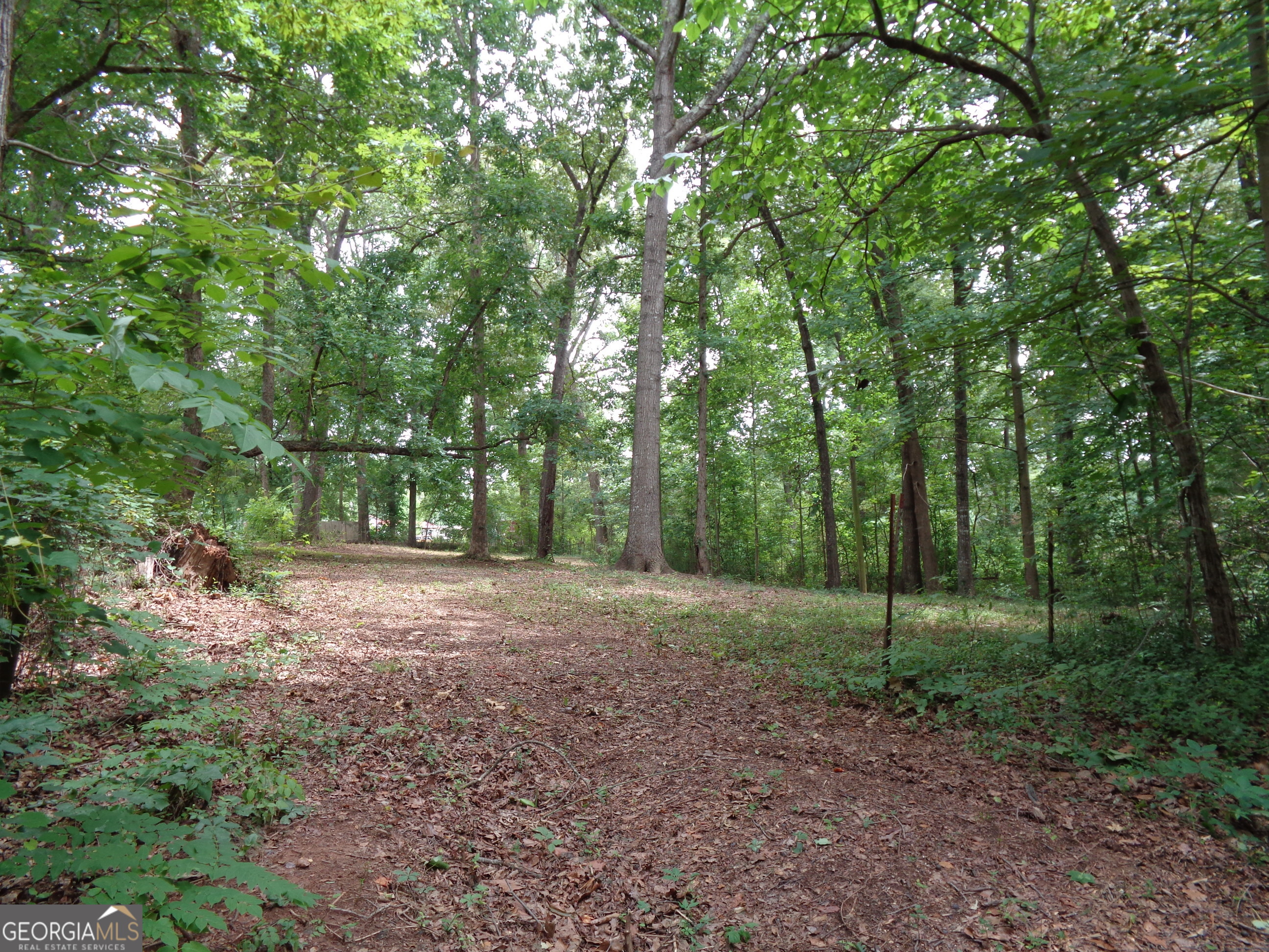 2411 Kesler Road Carnesville GA 30521