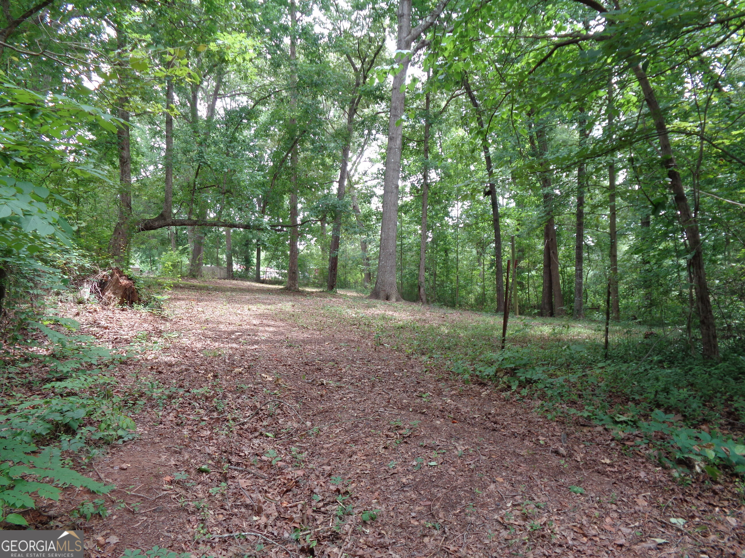 2411 Kesler Road Carnesville GA 30521