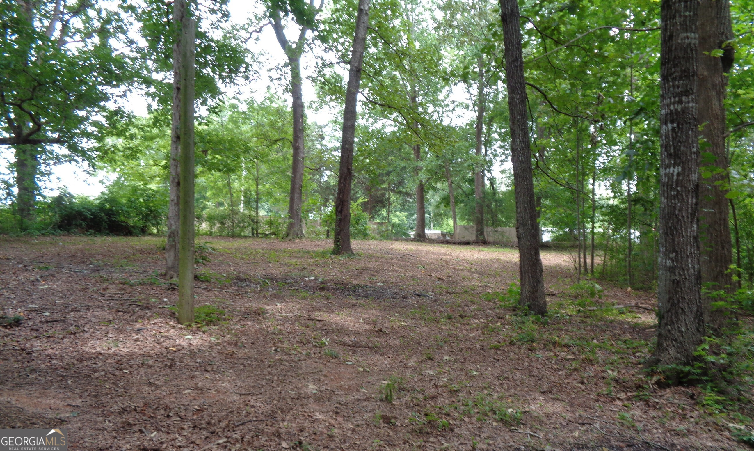 2411 Kesler Road Carnesville GA 30521