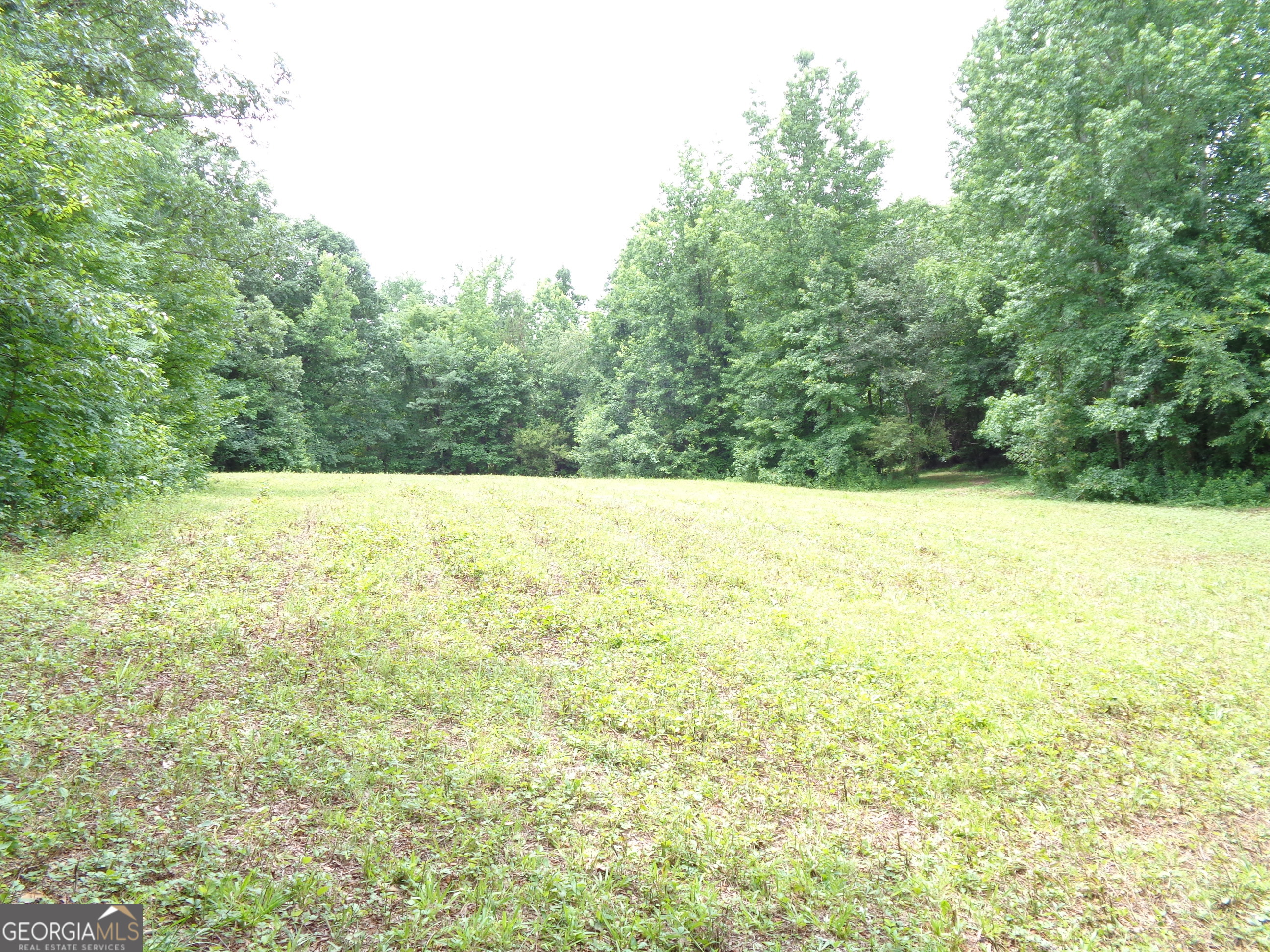 2411 Kesler Road Carnesville GA 30521