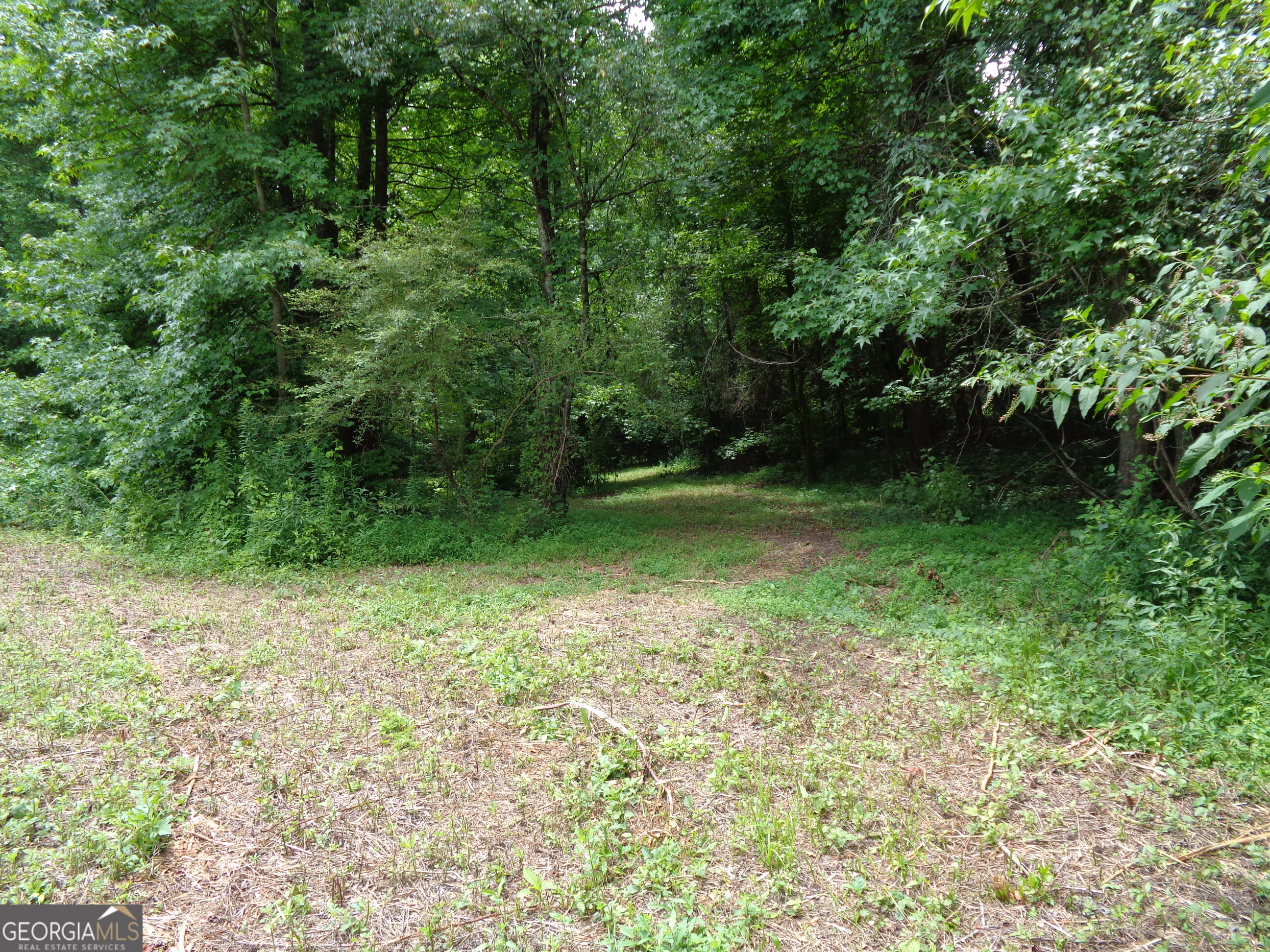 2411 Kesler Road Carnesville GA 30521