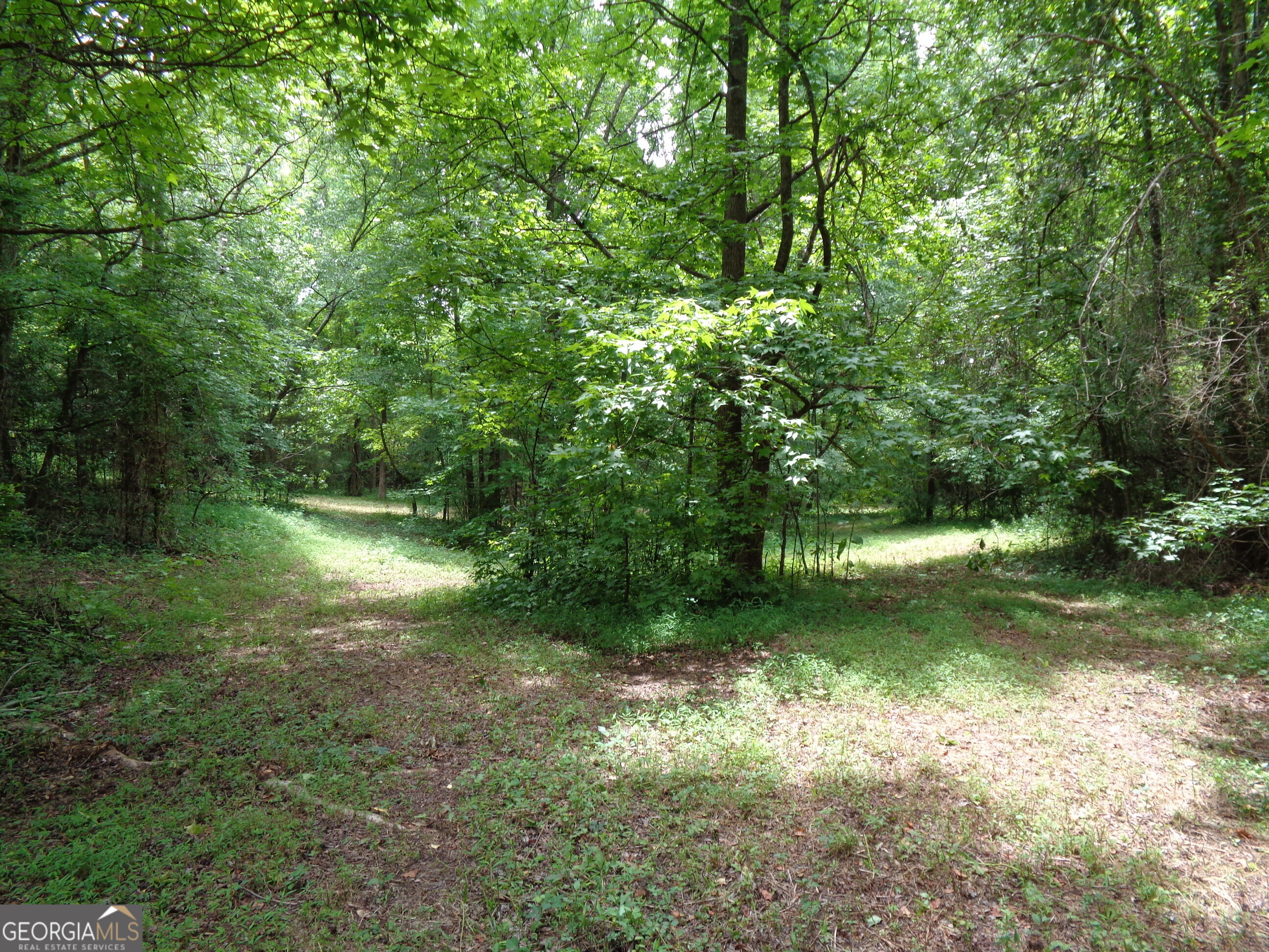 2411 Kesler Road Carnesville GA 30521
