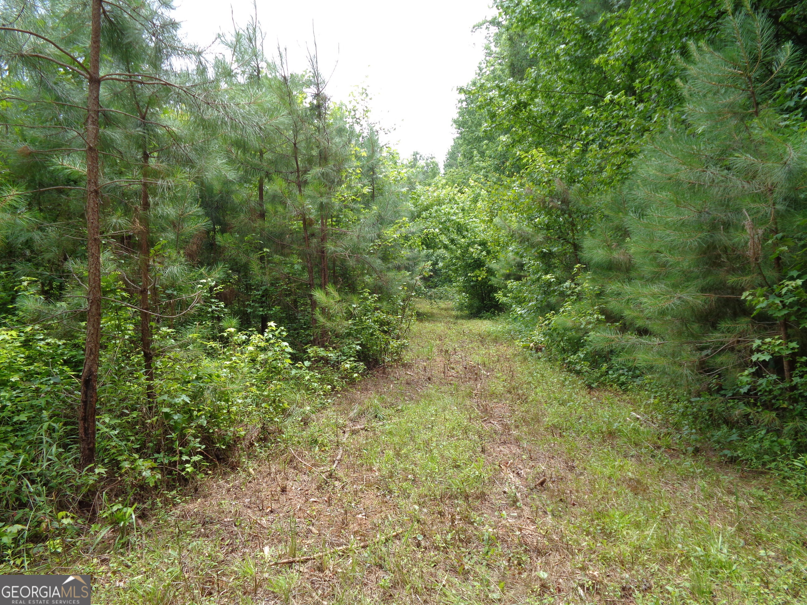 2411 Kesler Road Carnesville GA 30521