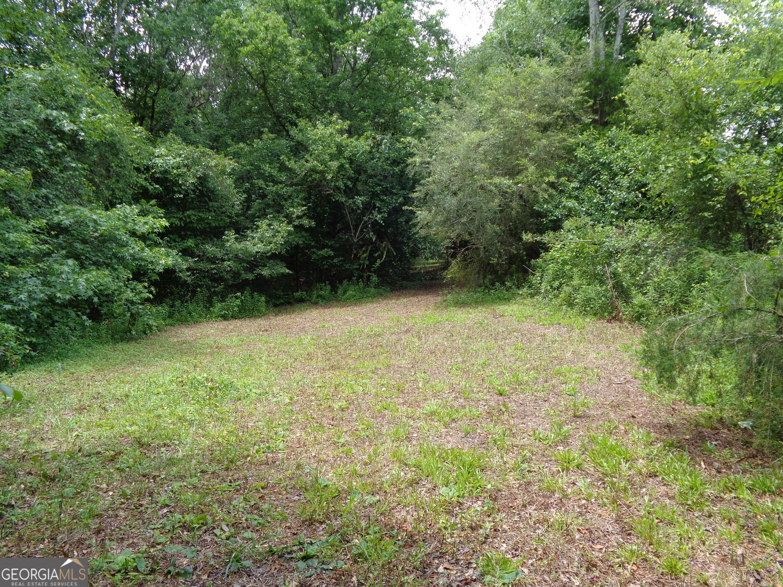2411 Kesler Road Carnesville GA 30521
