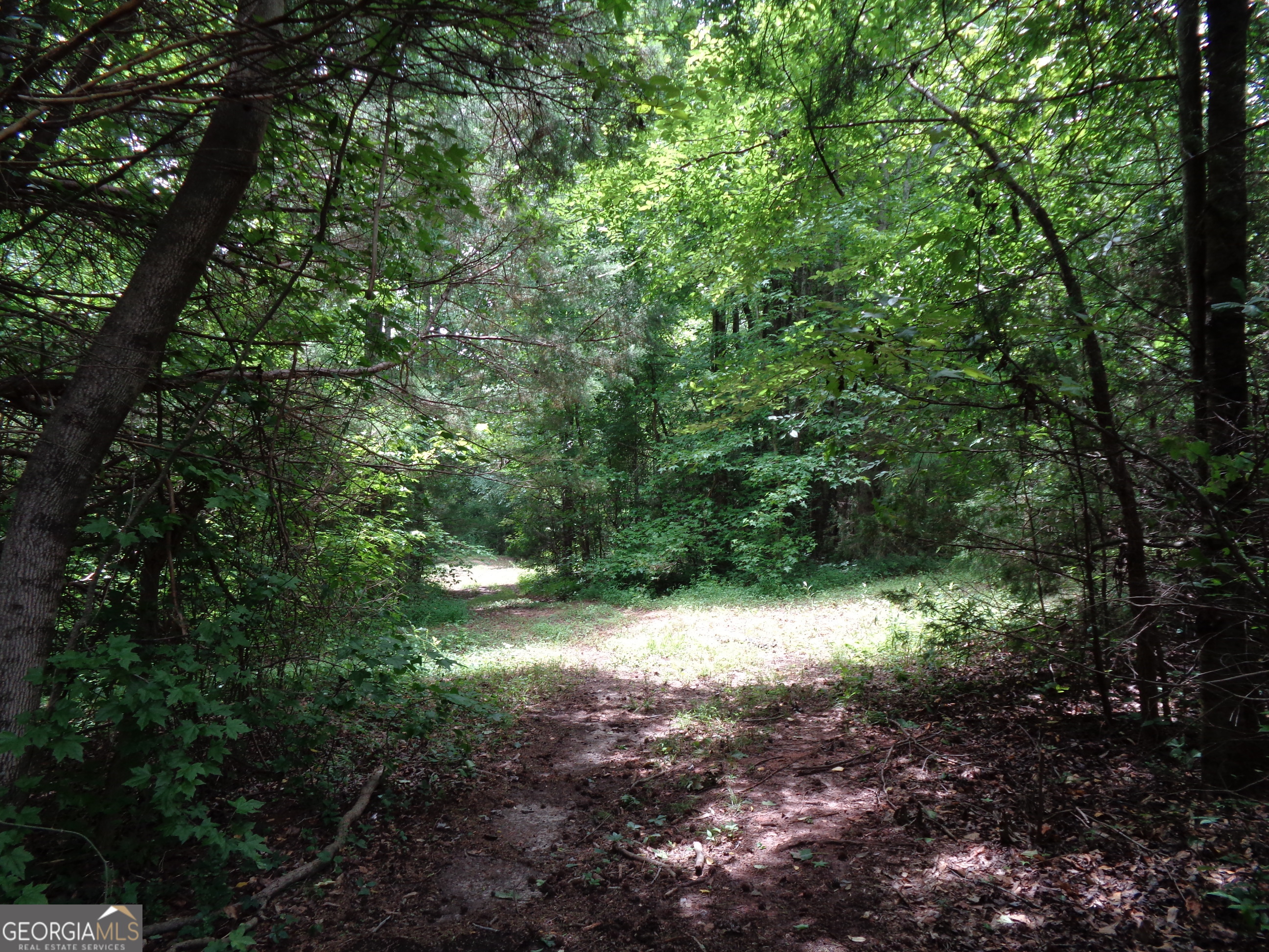 2411 Kesler Road Carnesville GA 30521
