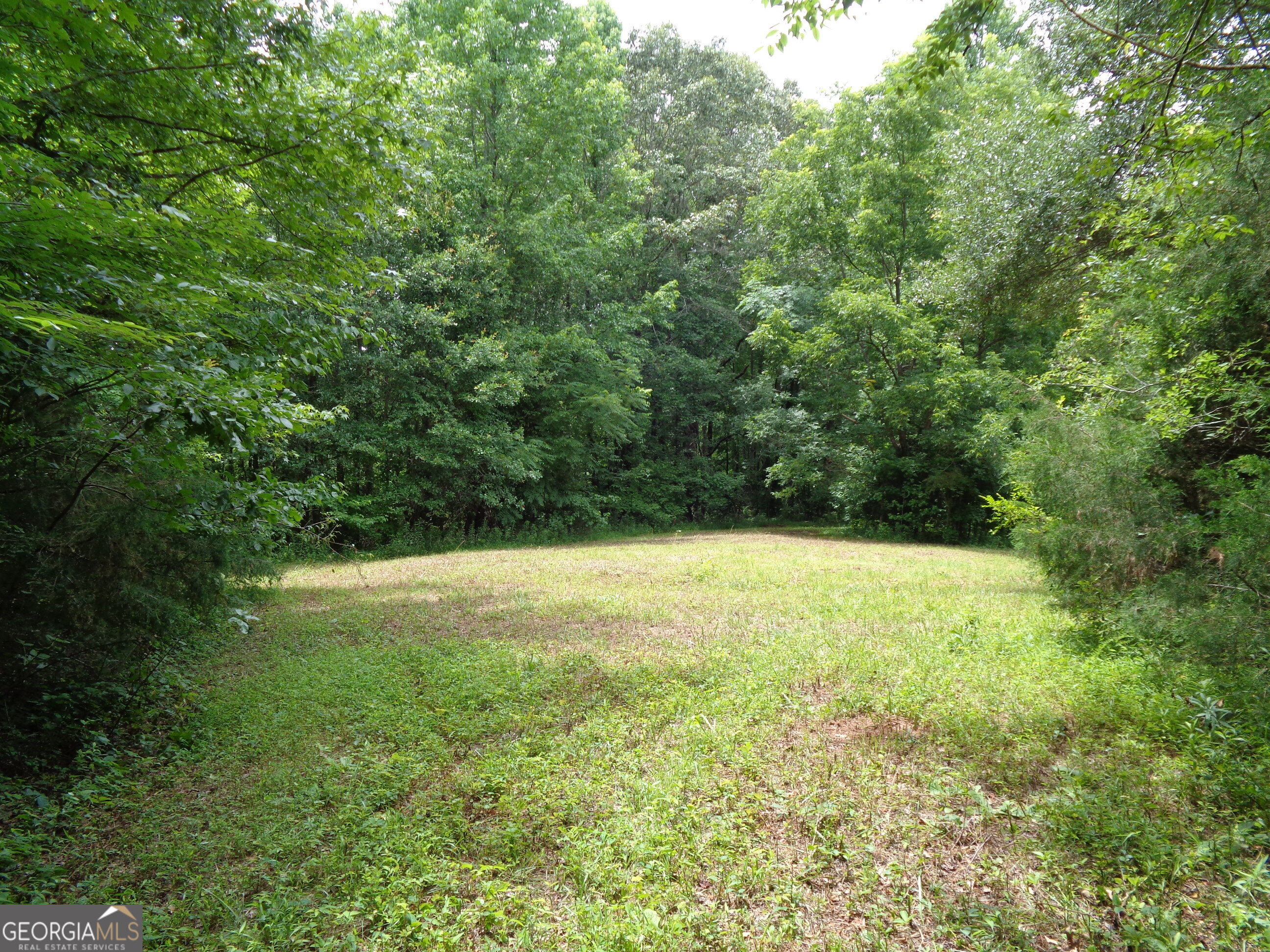 2411 Kesler Road Carnesville GA 30521