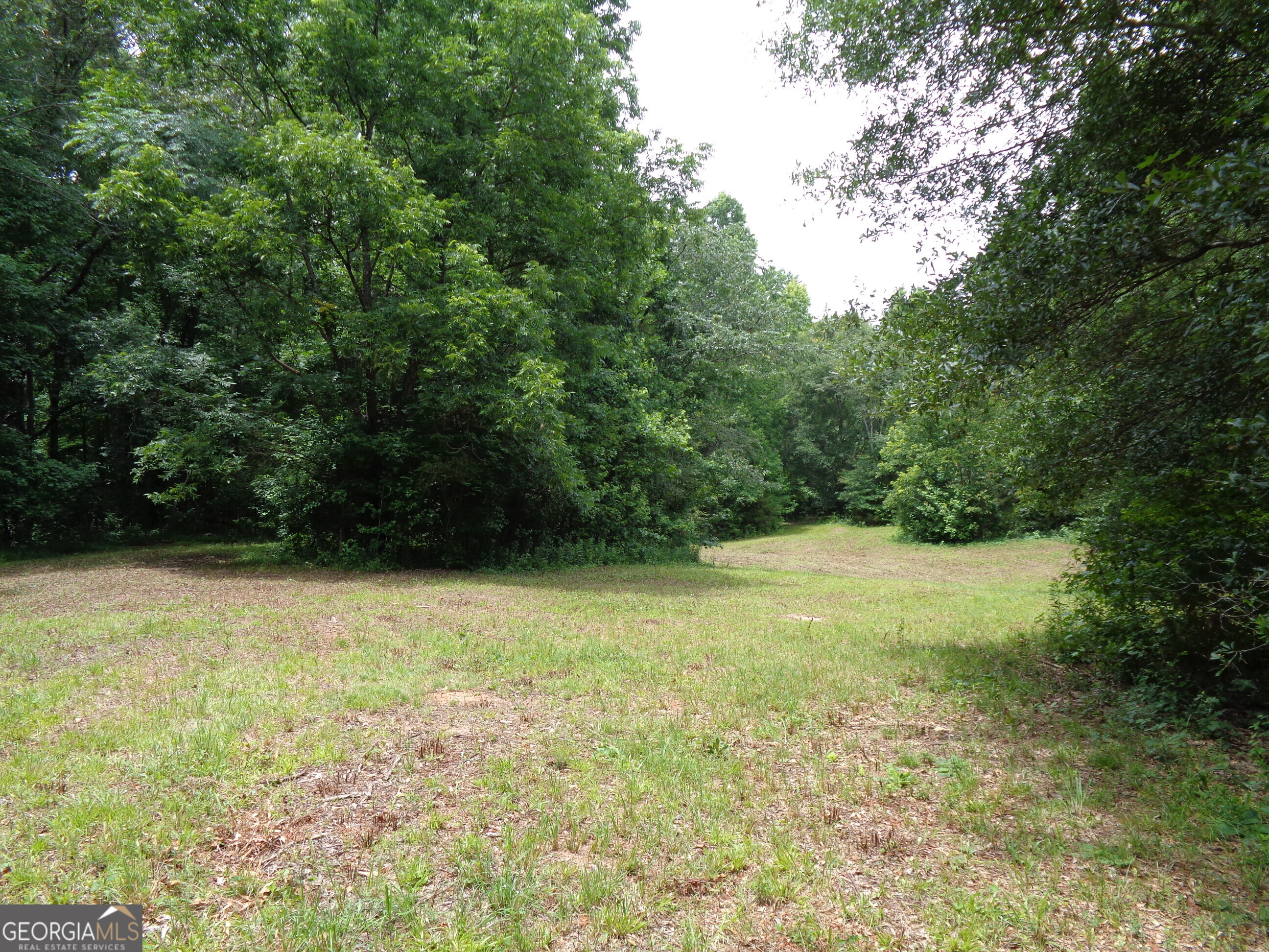 2411 Kesler Road Carnesville GA 30521