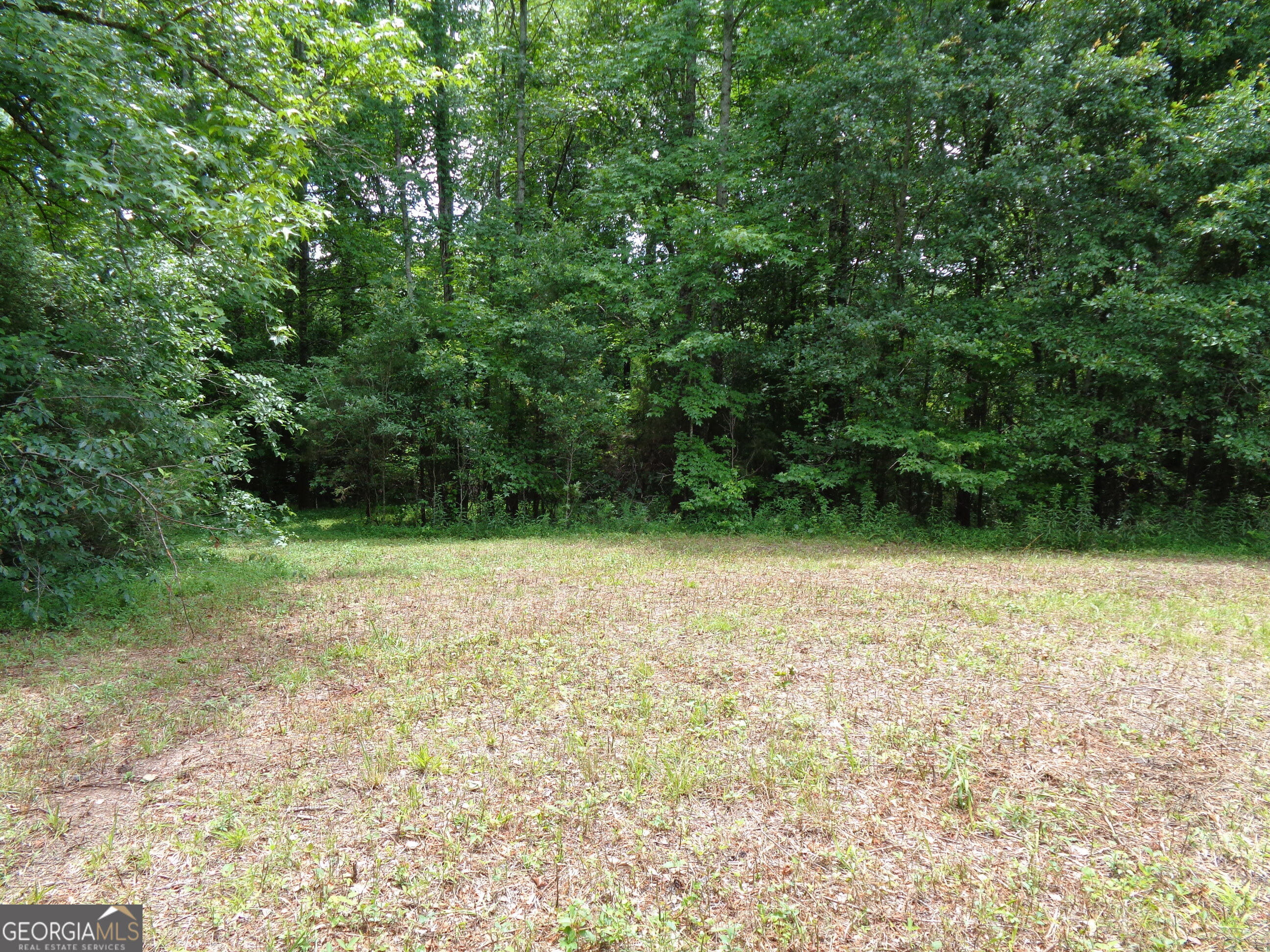 2411 Kesler Road Carnesville GA 30521