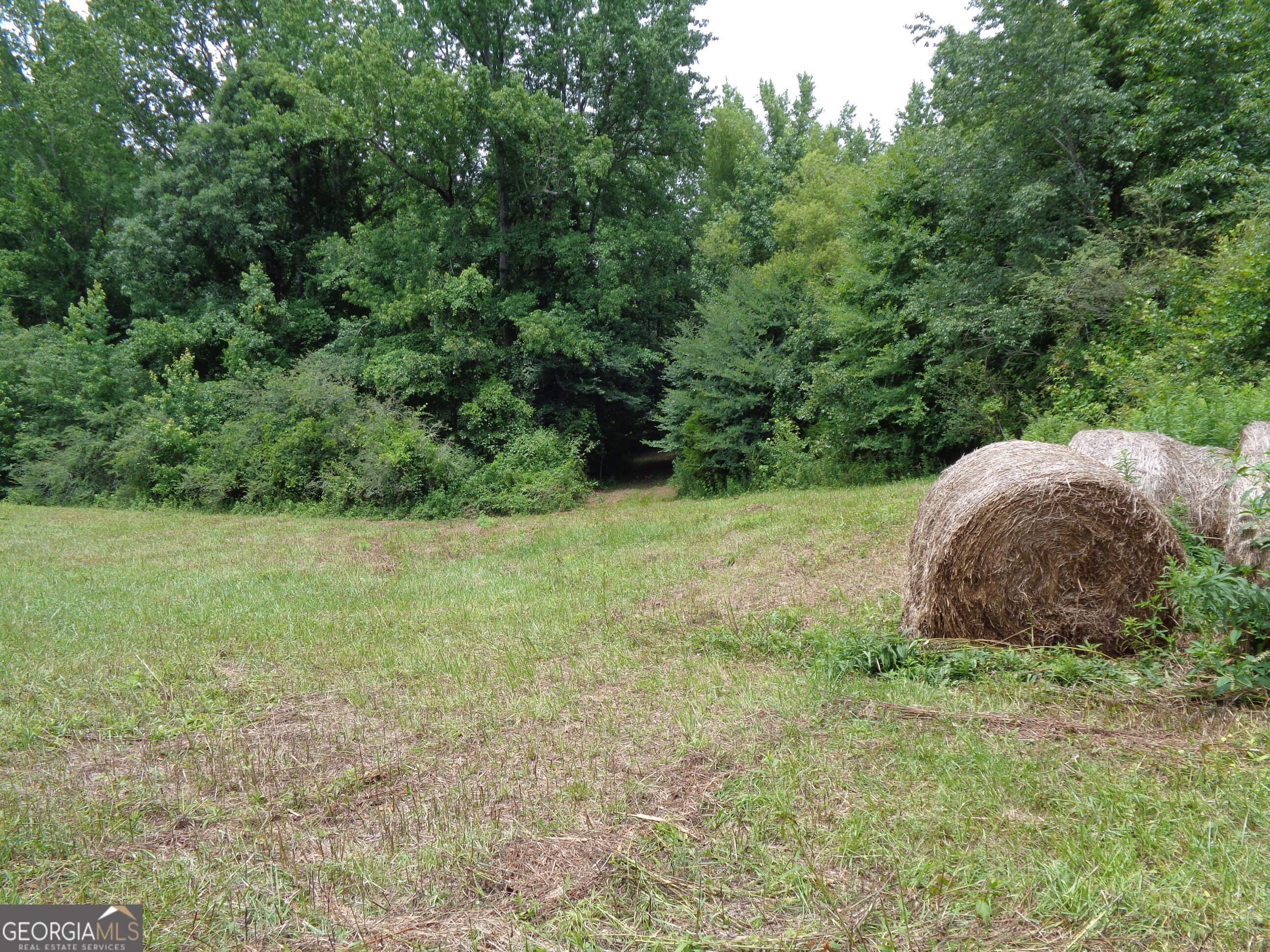 2411 Kesler Road Carnesville GA 30521
