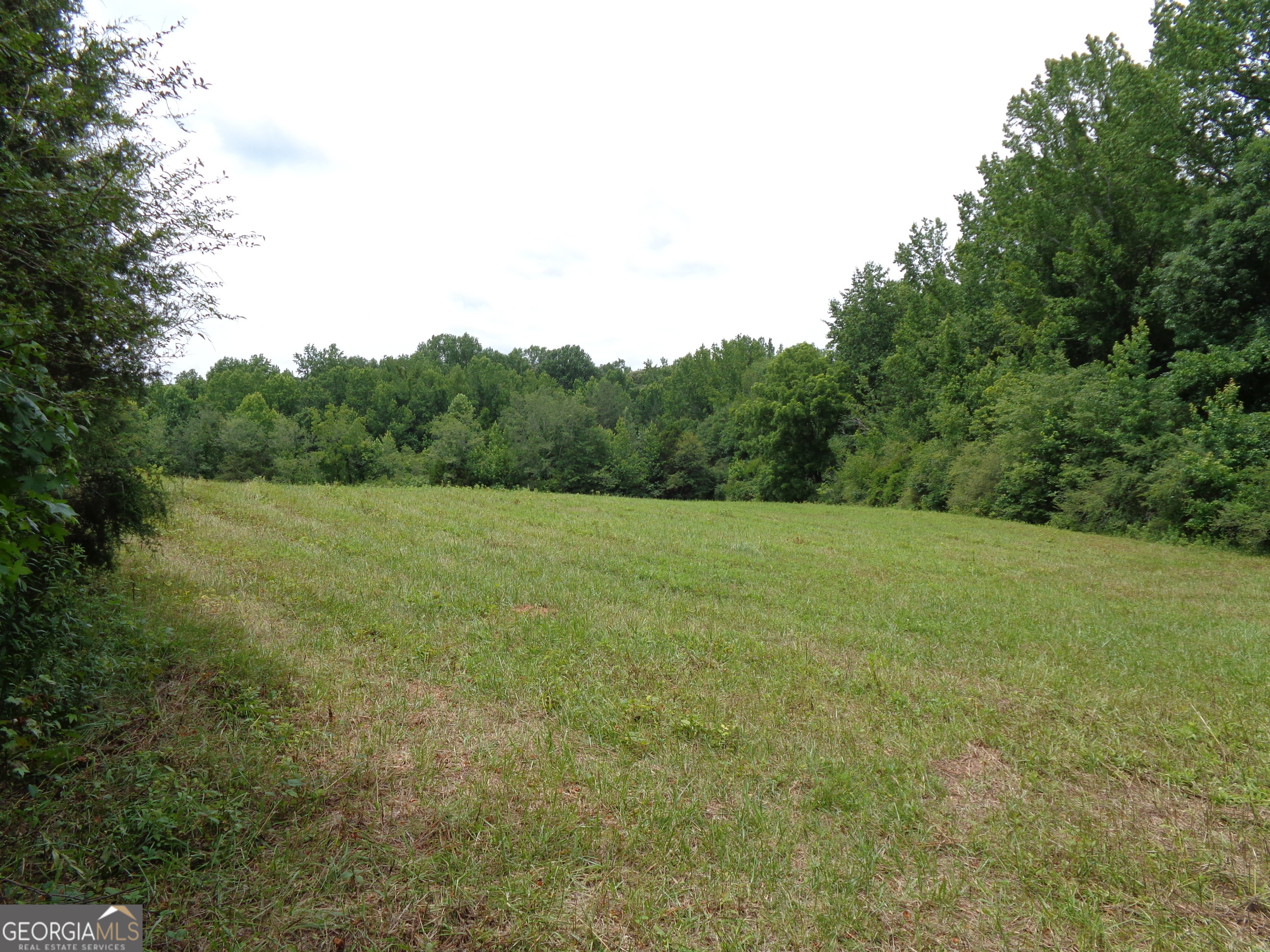 2411 Kesler Road Carnesville GA 30521