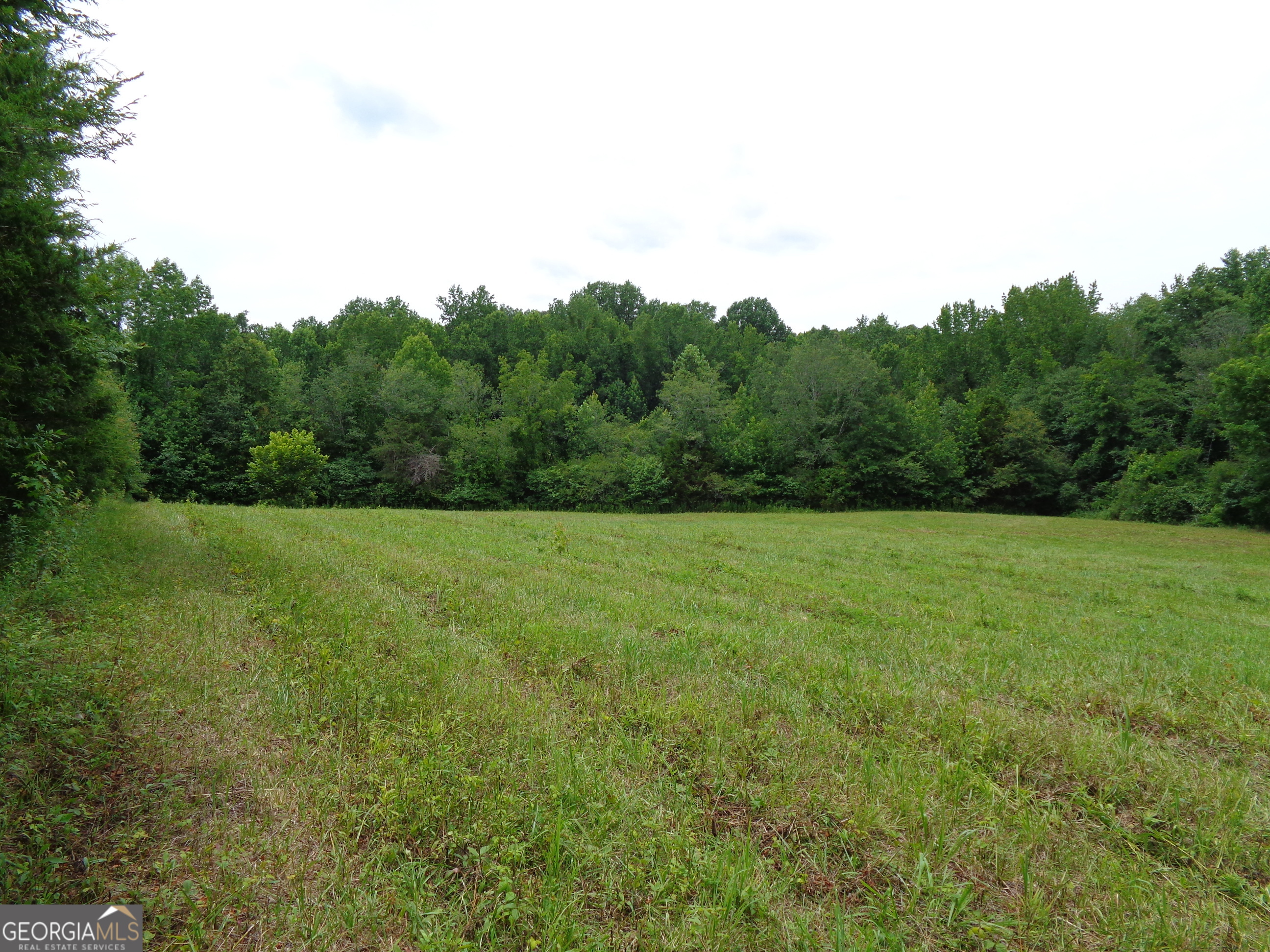 2411 Kesler Road Carnesville GA 30521
