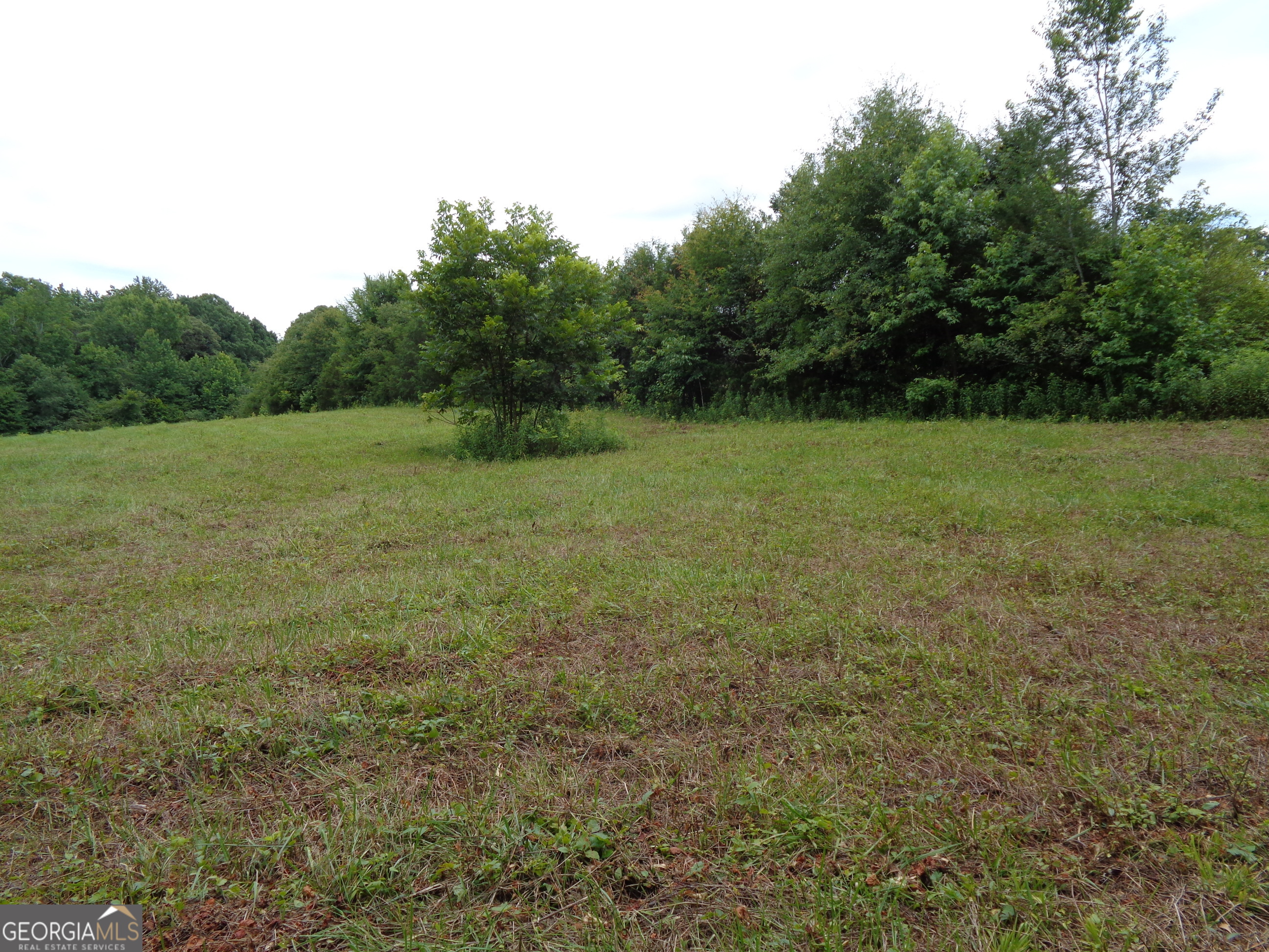 2411 Kesler Road Carnesville GA 30521