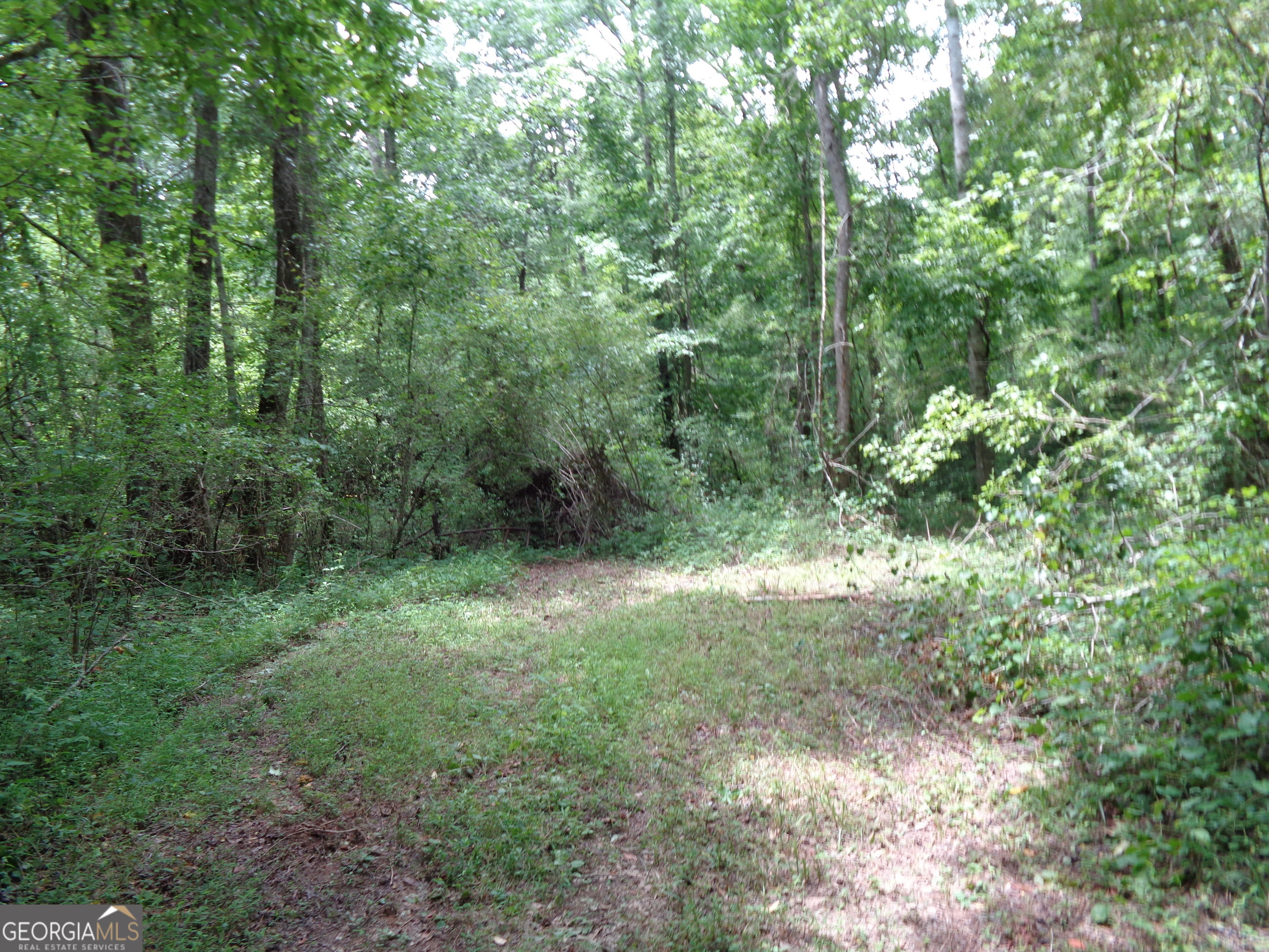 2411 Kesler Road Carnesville GA 30521