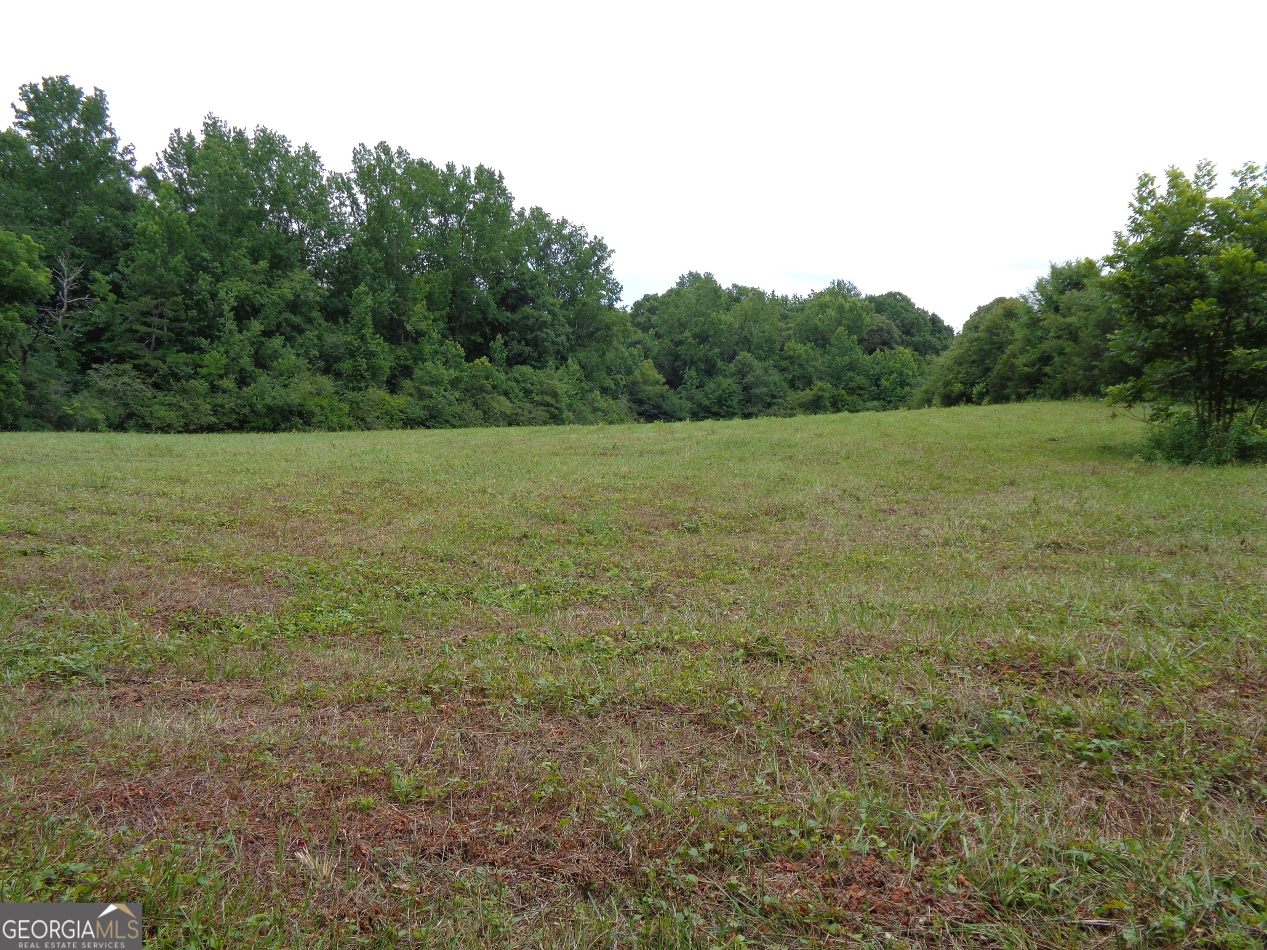 2411 Kesler Road Carnesville GA 30521