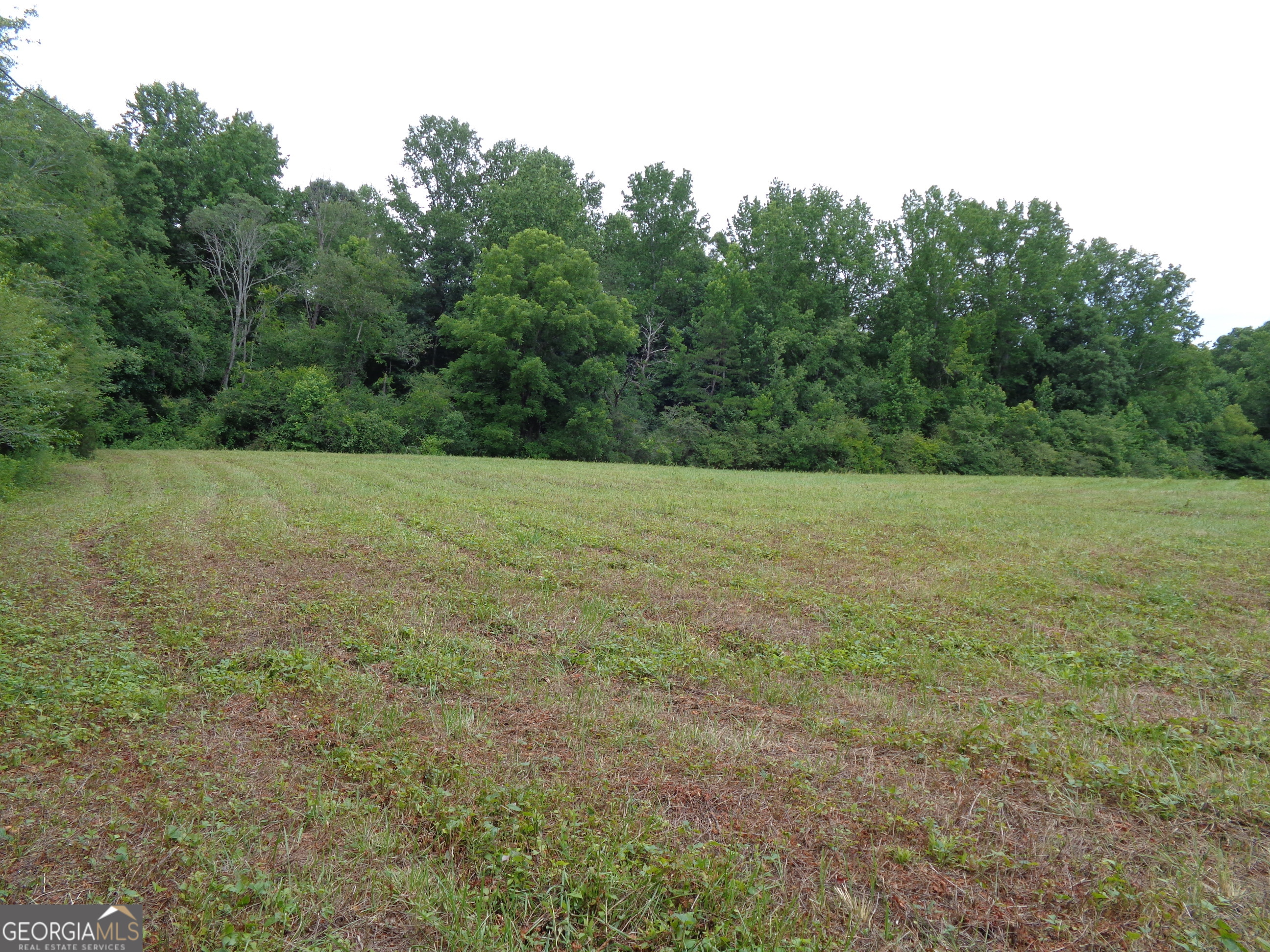 2411 Kesler Road Carnesville GA 30521