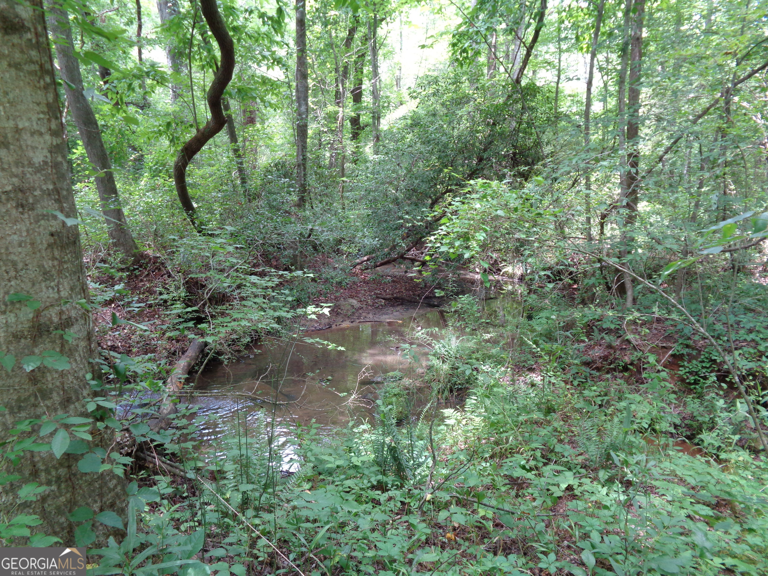 2411 Kesler Road Carnesville GA 30521