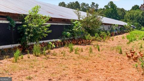 1068 Stivers Road Jasper GA 30143